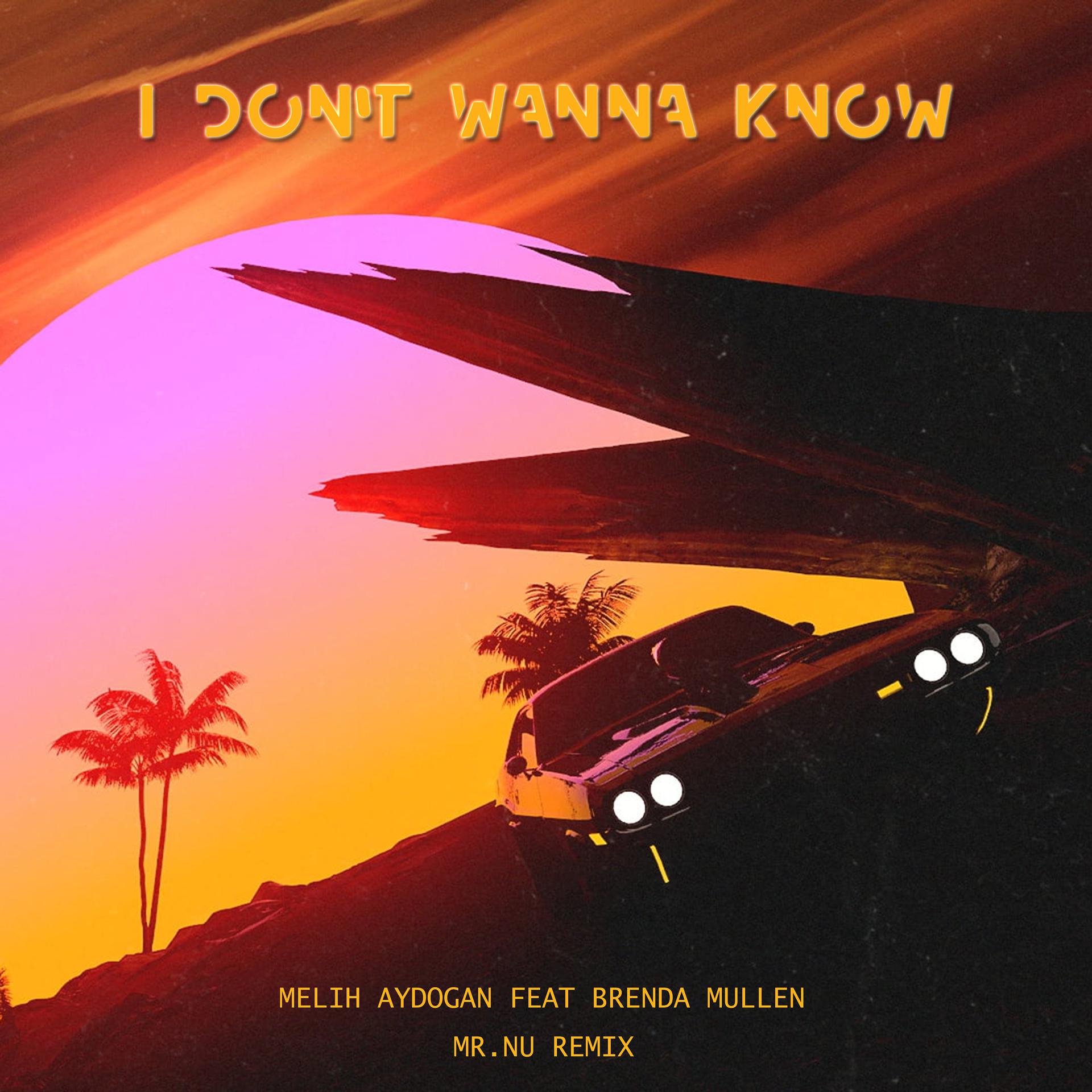 Постер альбома I Don't Wanna Know (feat. Brenda Mullen) [Mr. Nu Remix]