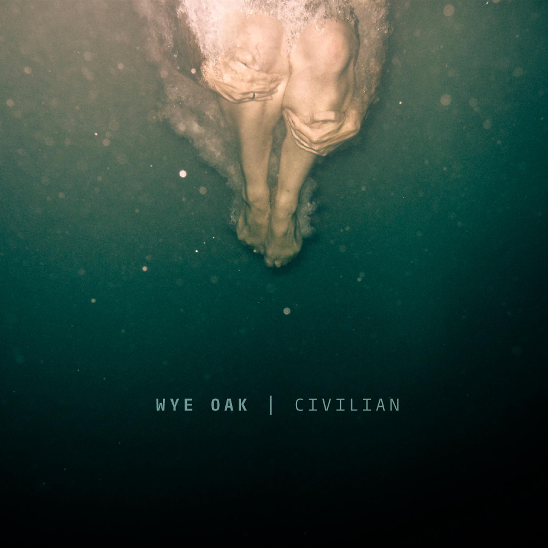 Постер альбома Civilian
