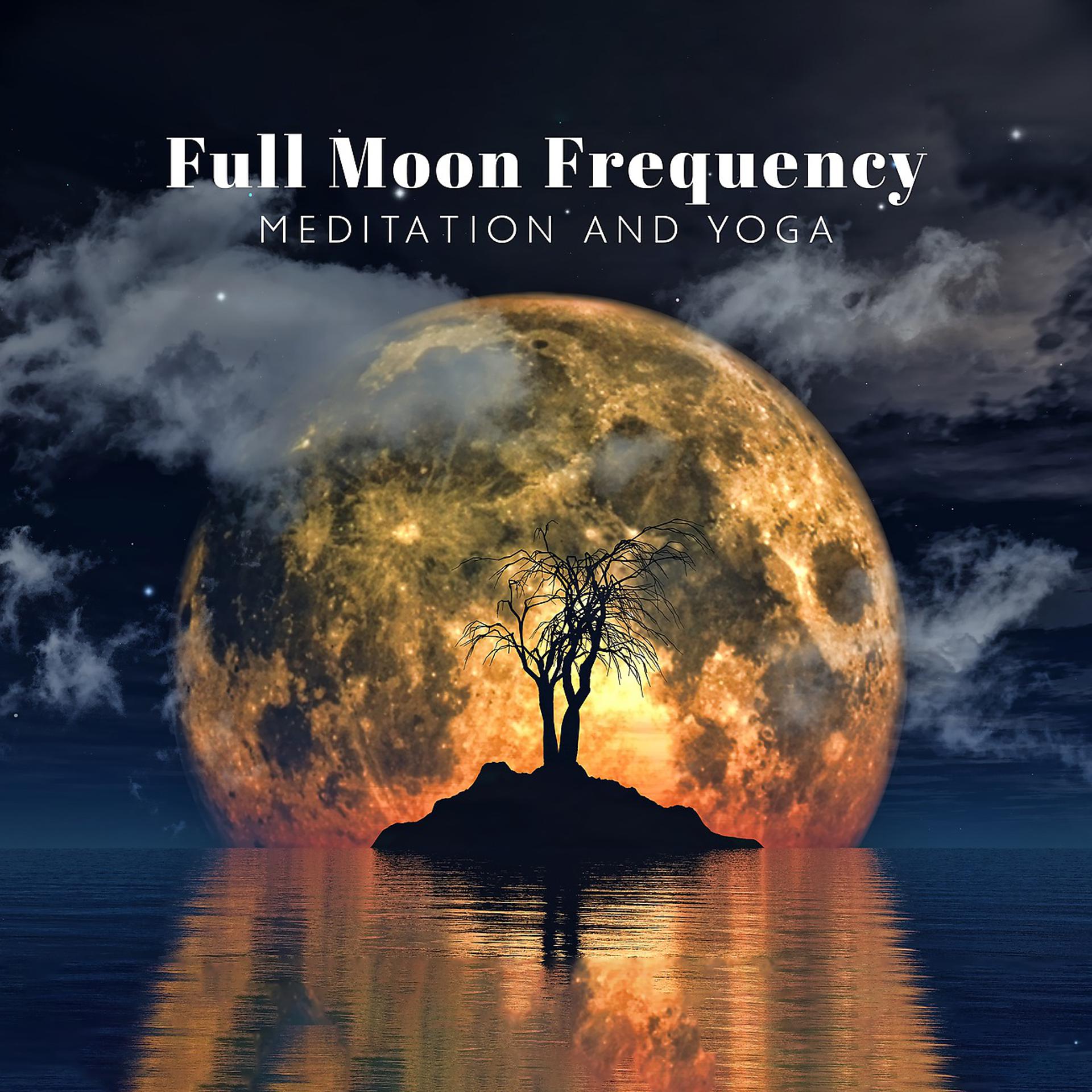 Постер альбома Full Moon Frequency