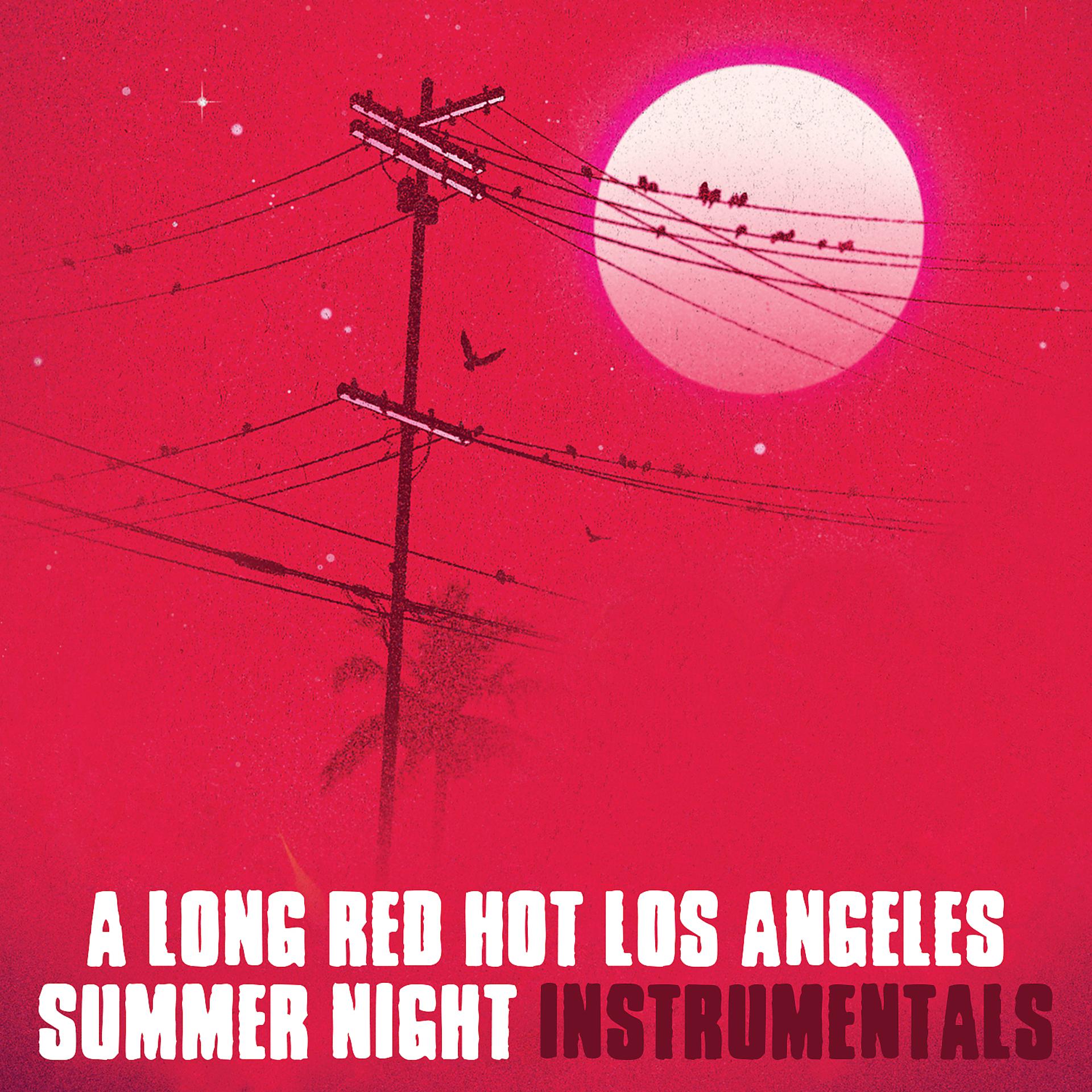 Постер альбома A Long Red Hot Los Angeles Summer Night (Instrumentals)