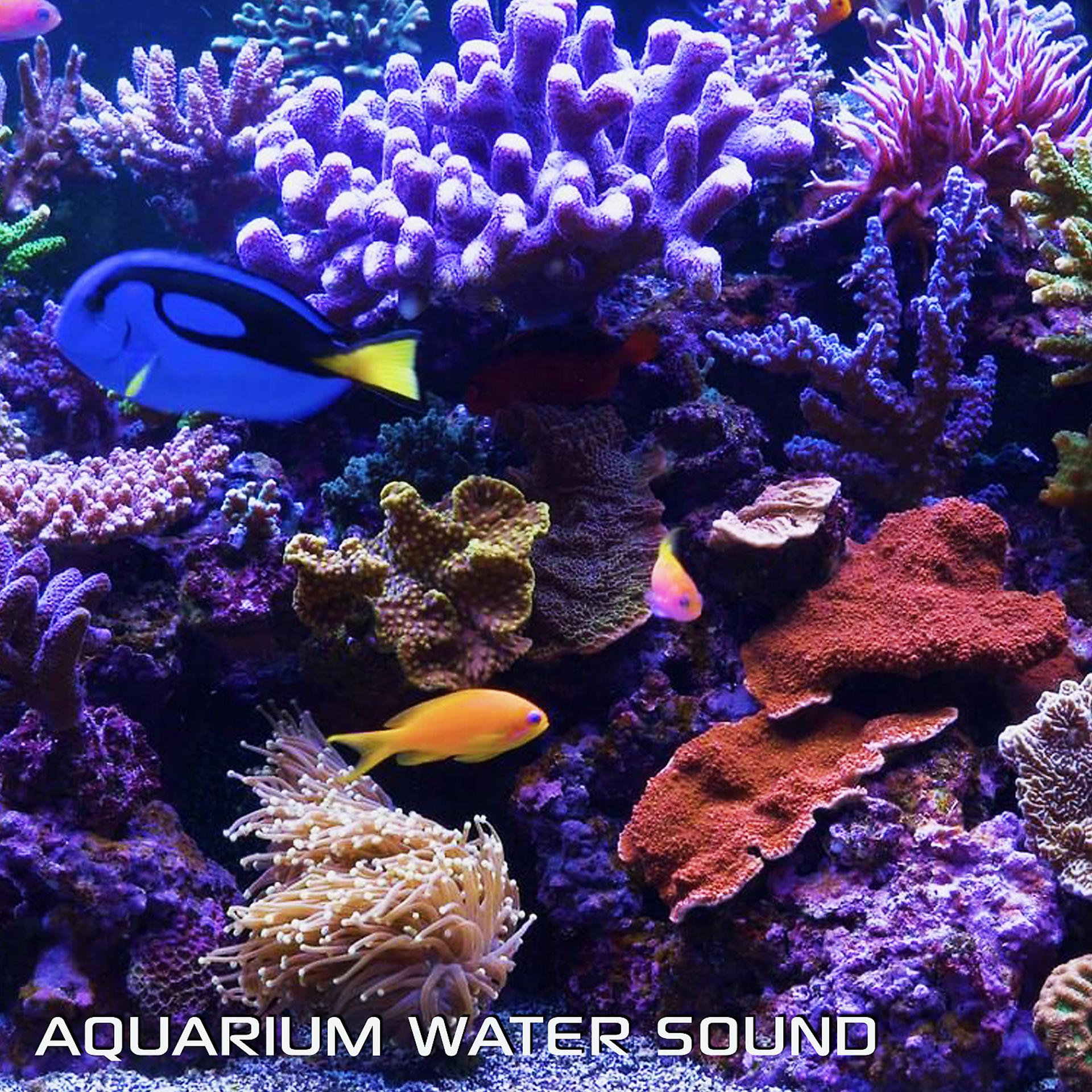 Постер альбома Aquarium Water Sound (feat. Aquarium Soundscapes, White Noise Sleep Sounds & Discovery White Noise)