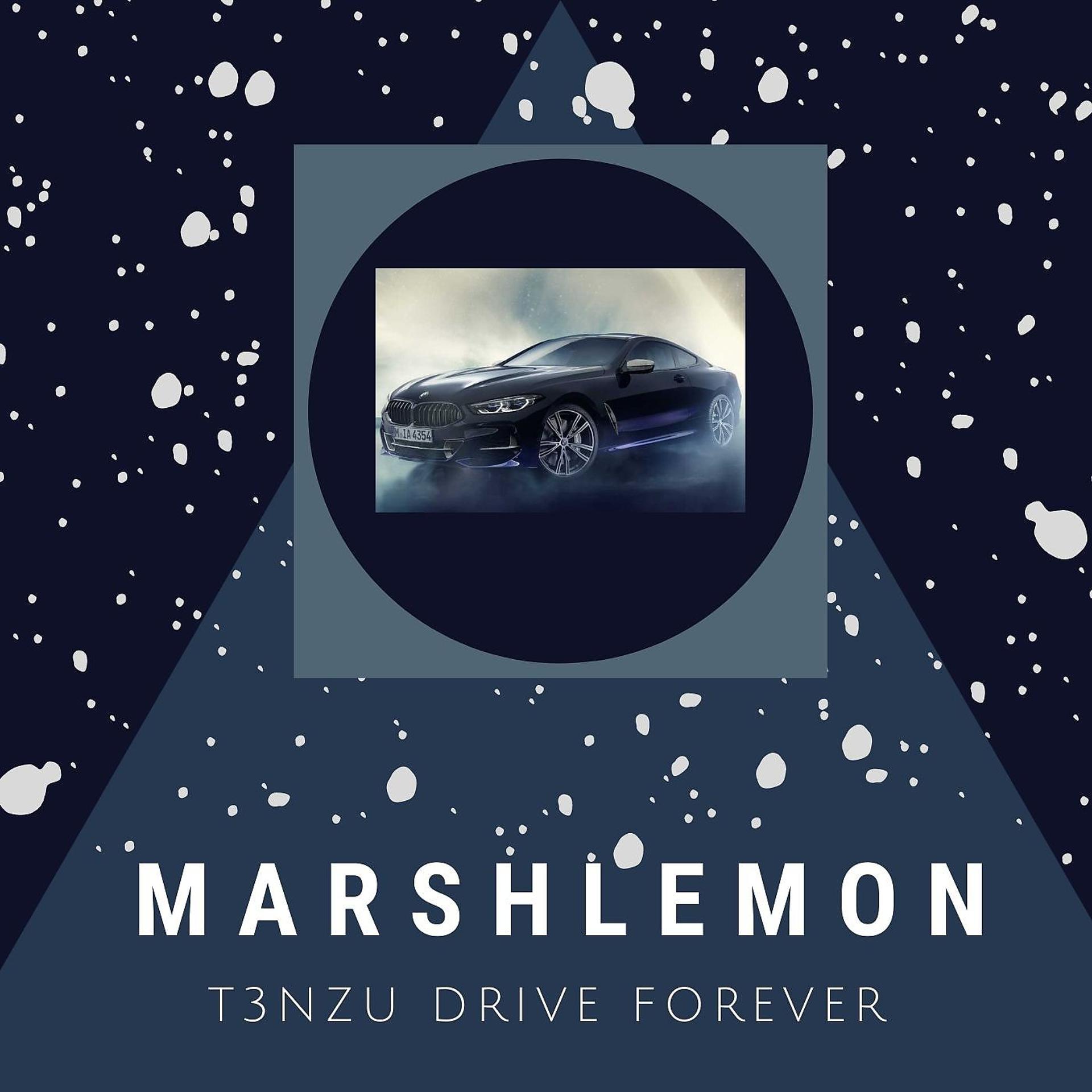 Постер альбома T3NZU Drive Forever