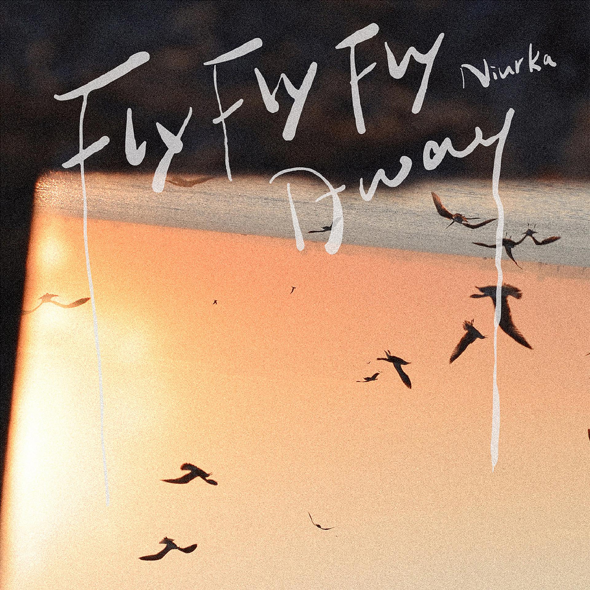 Постер альбома Fly Fly Fly Away