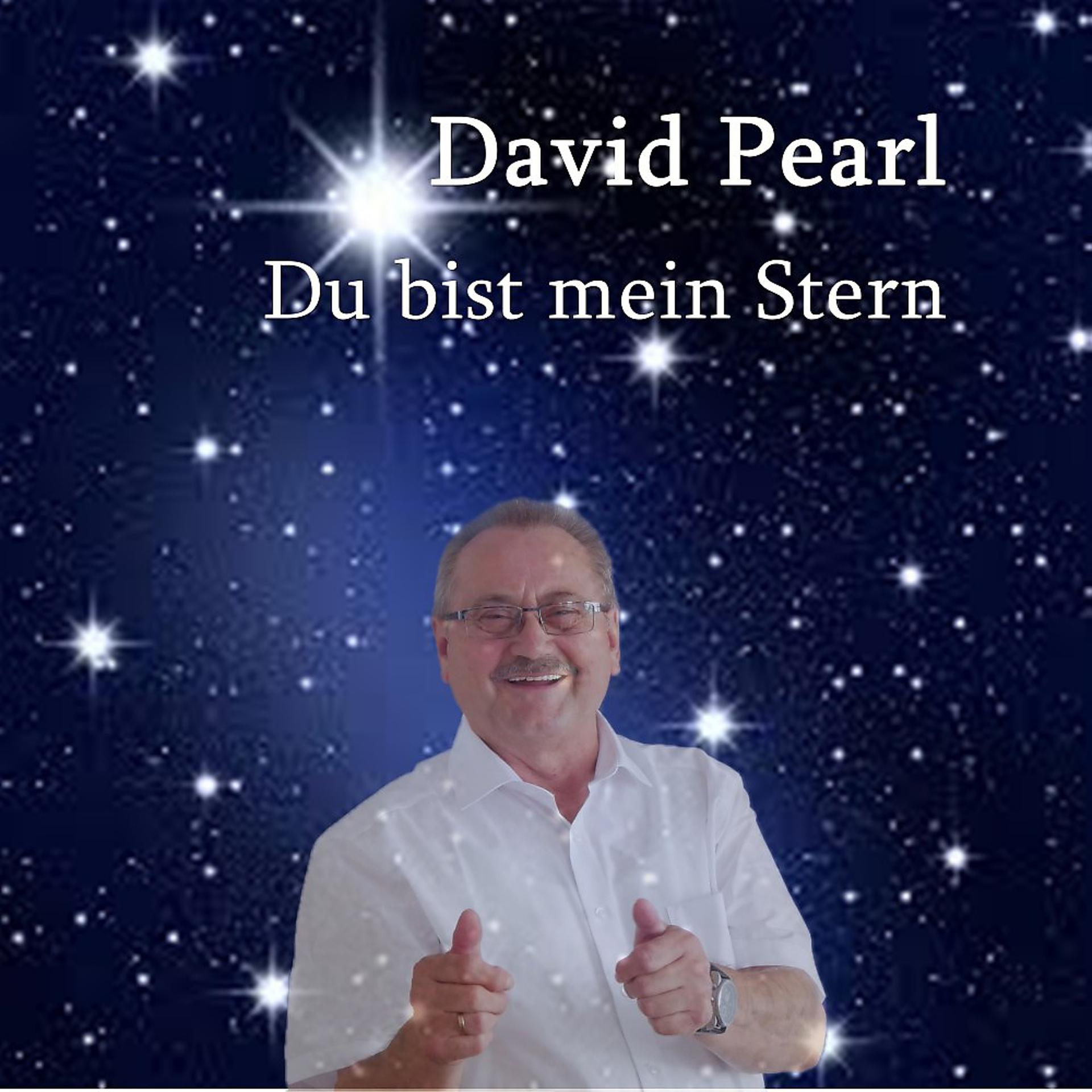 Постер альбома Du bist mein Stern