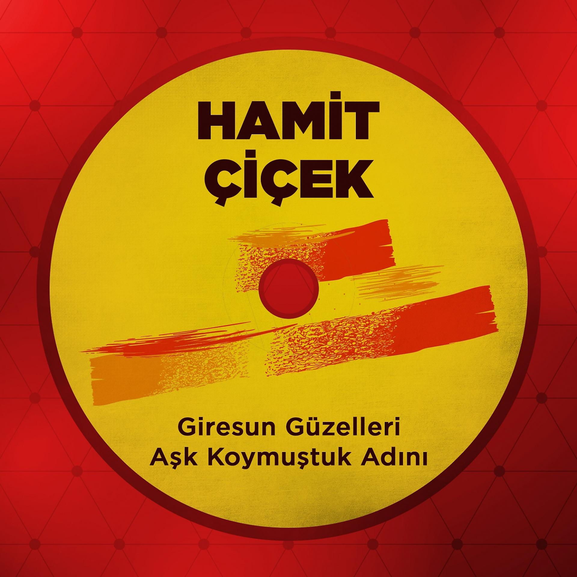 Постер альбома Giresun Güzelleri / Aşk Koymuştuk Adını