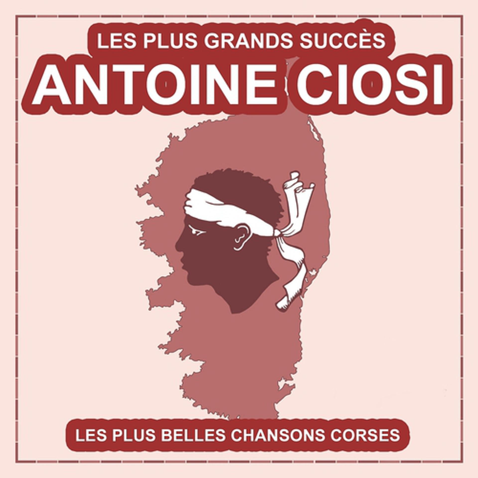 Постер альбома Les plus grands succès d'Antoine Ciosi