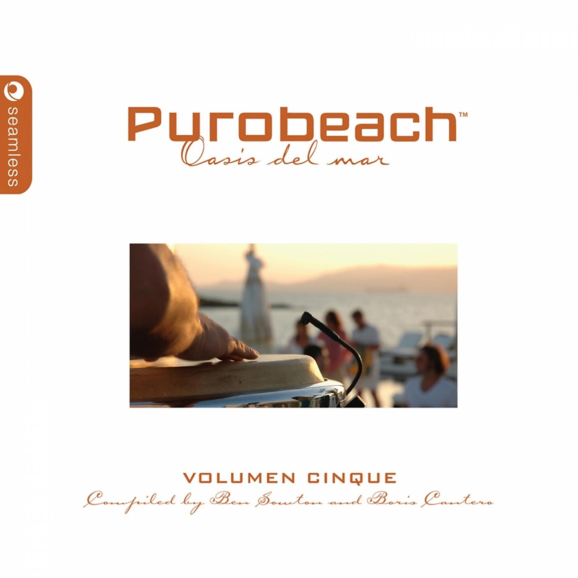 Постер альбома Purobeach, Vol. Cinque