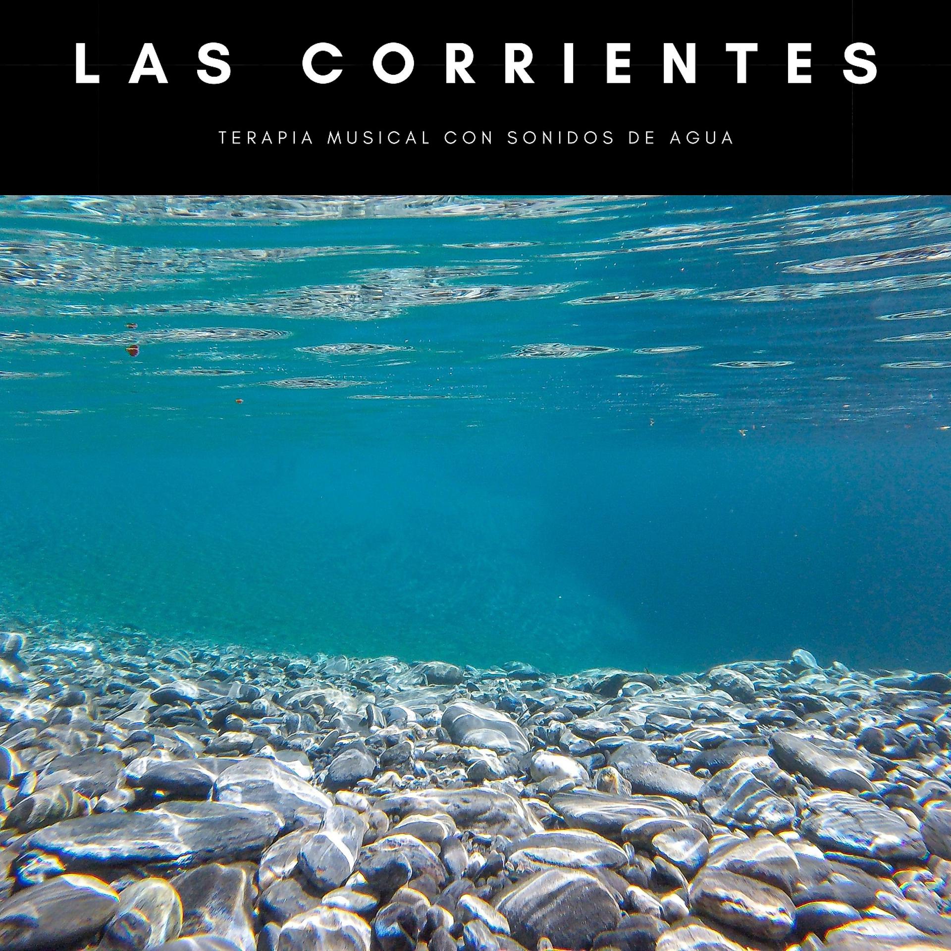 Постер альбома Las Corrientes: Terapia Musical Con Sonidos De Agua