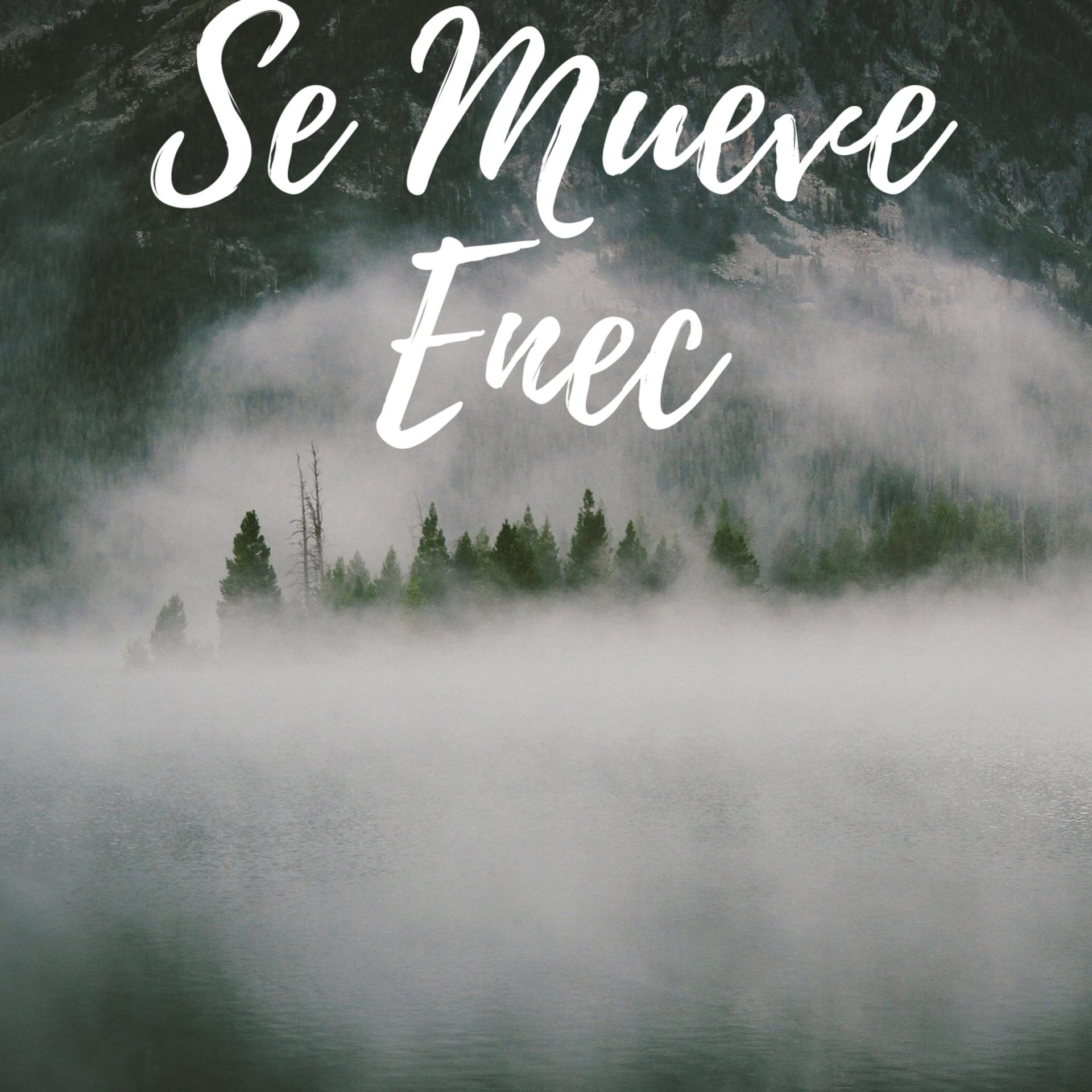 Постер альбома Se Mueve