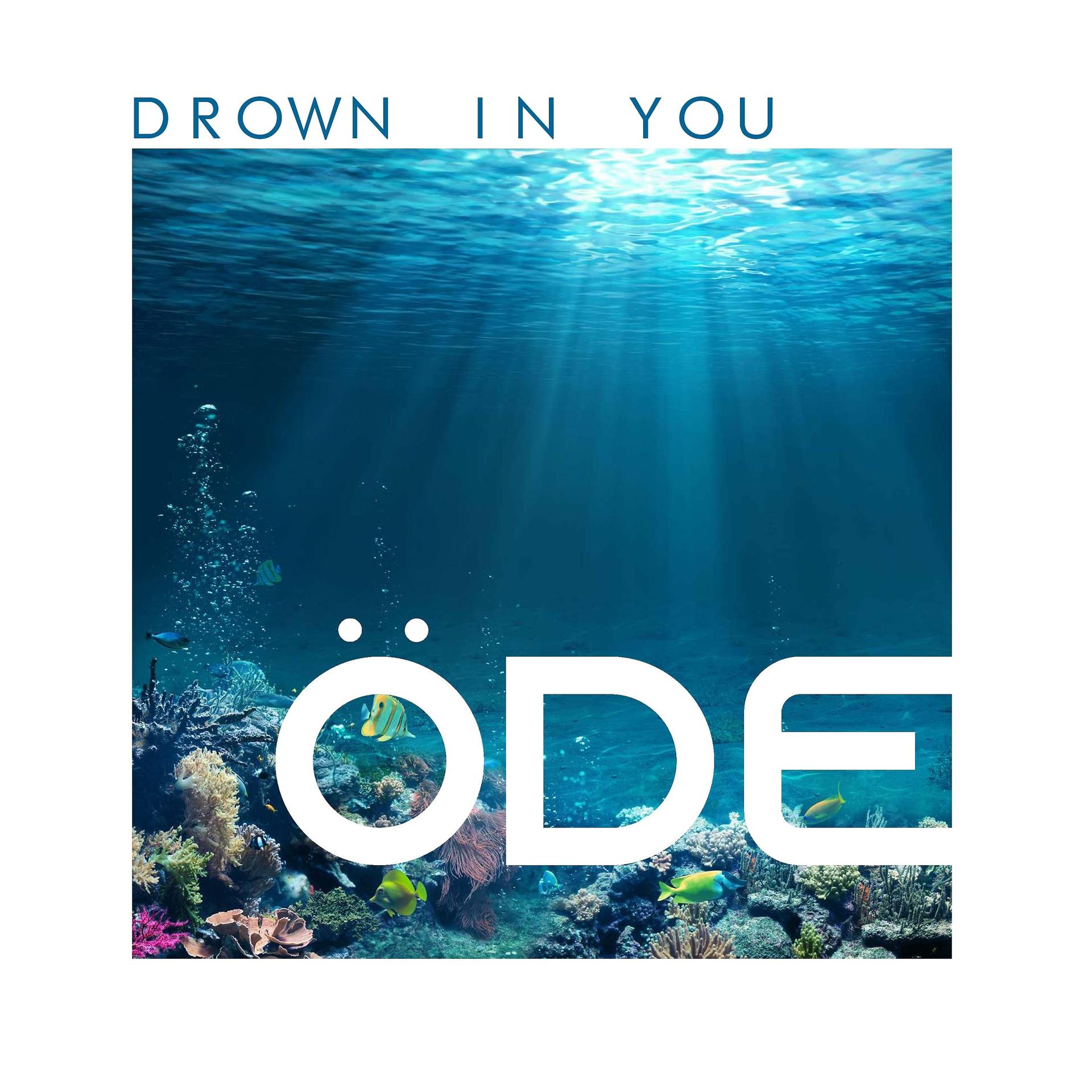 Постер альбома Drown in You
