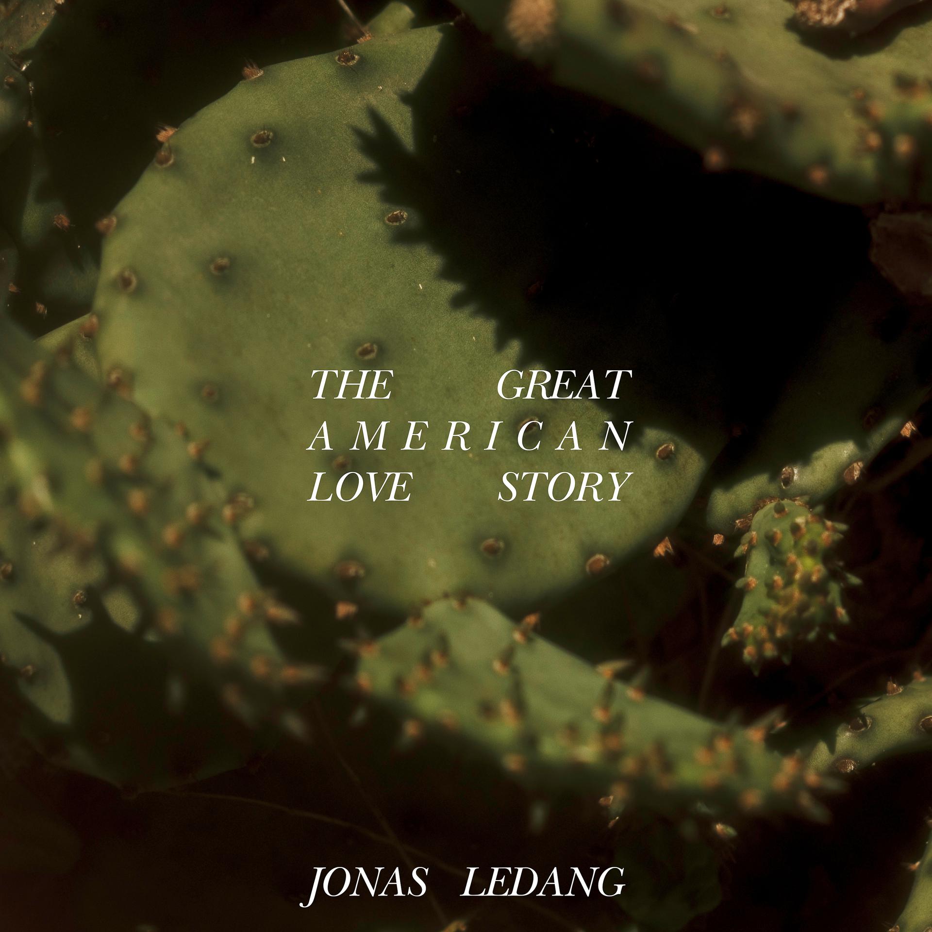 Постер альбома The Great American Love Story