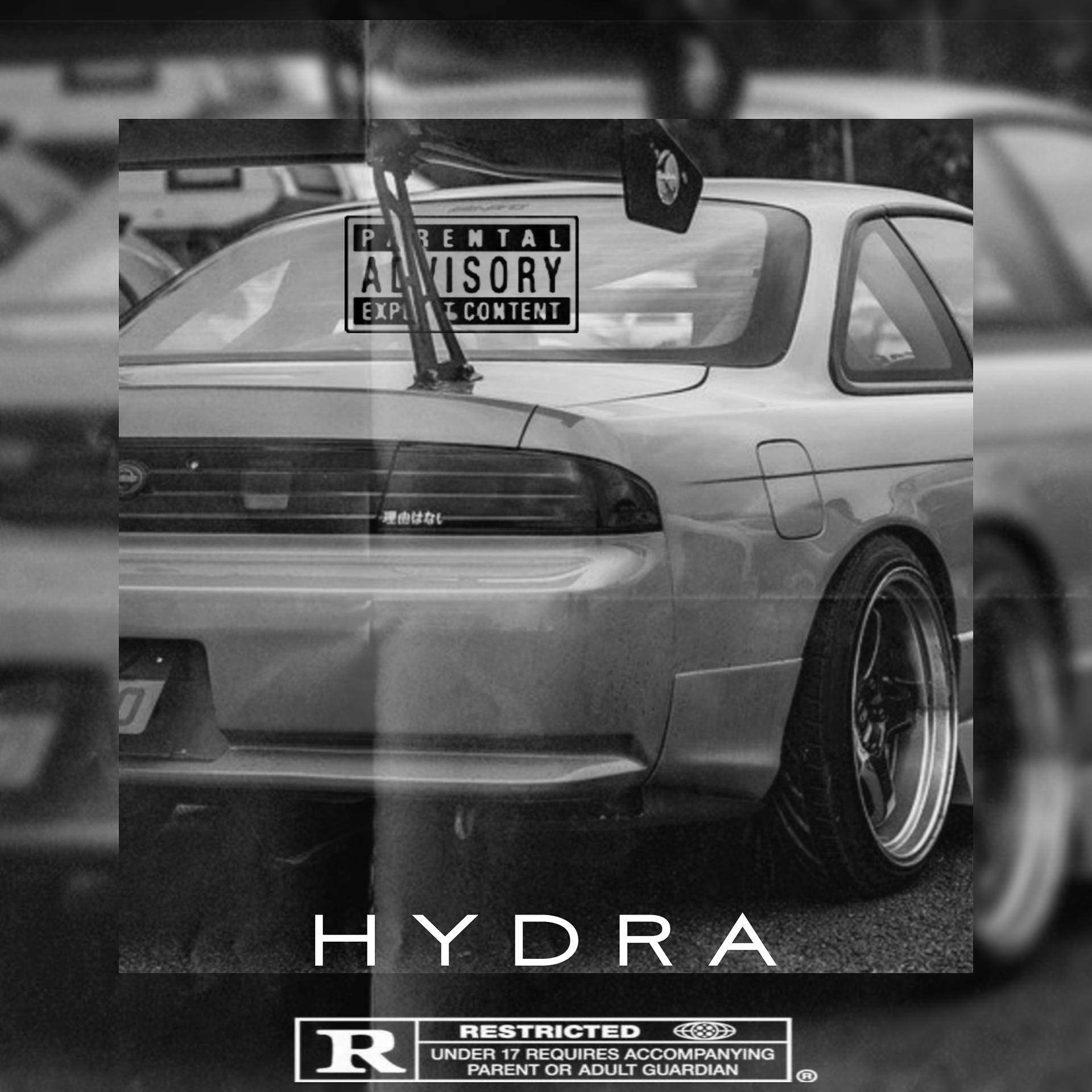 Постер альбома HYDRA