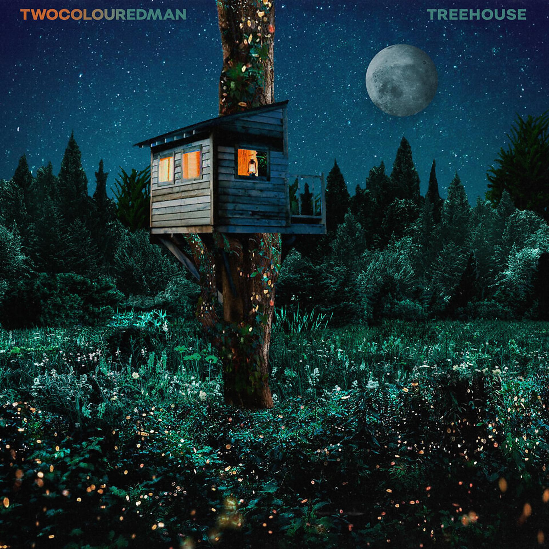 Постер альбома Treehouse