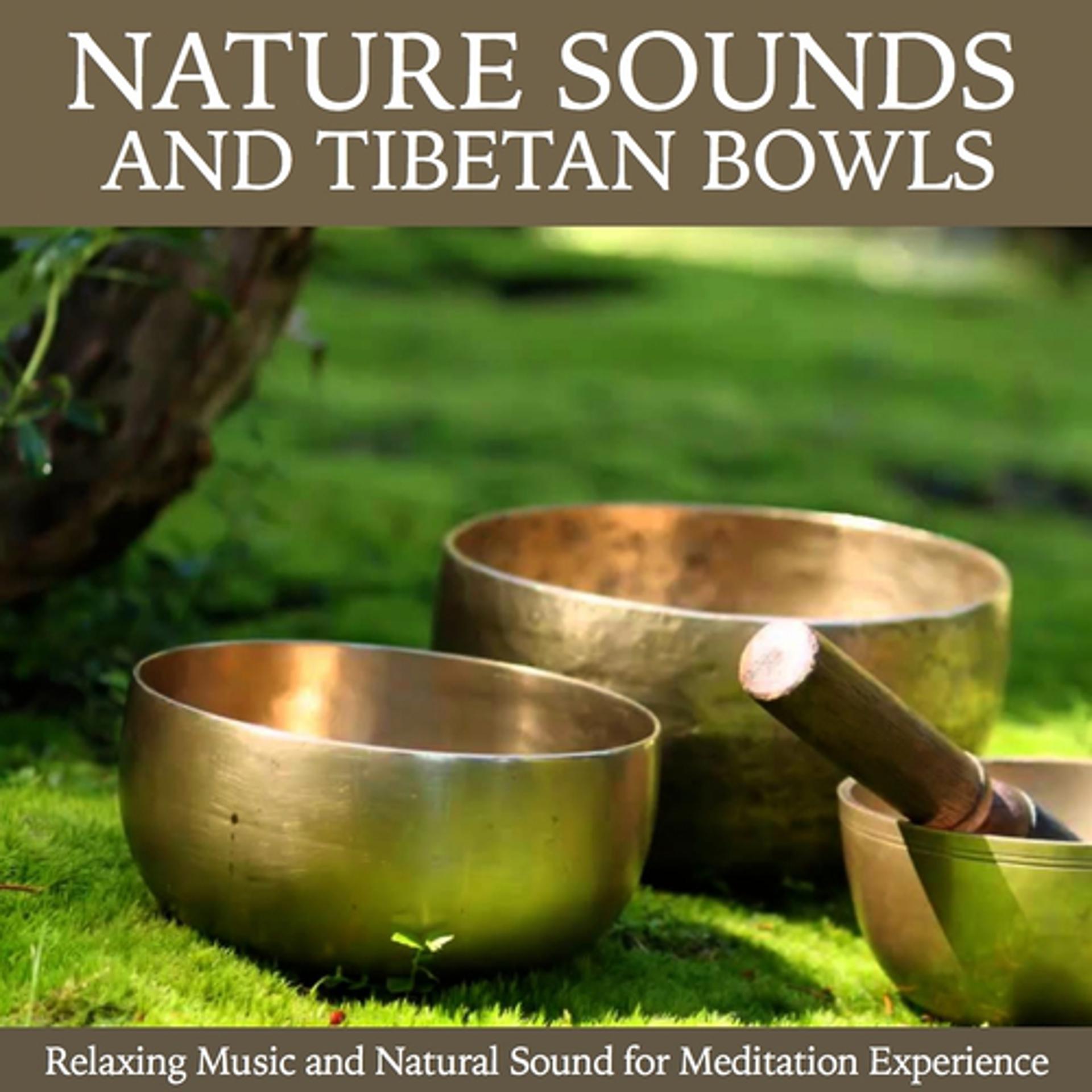 Постер альбома Nature Sound and Tibetan Bowls