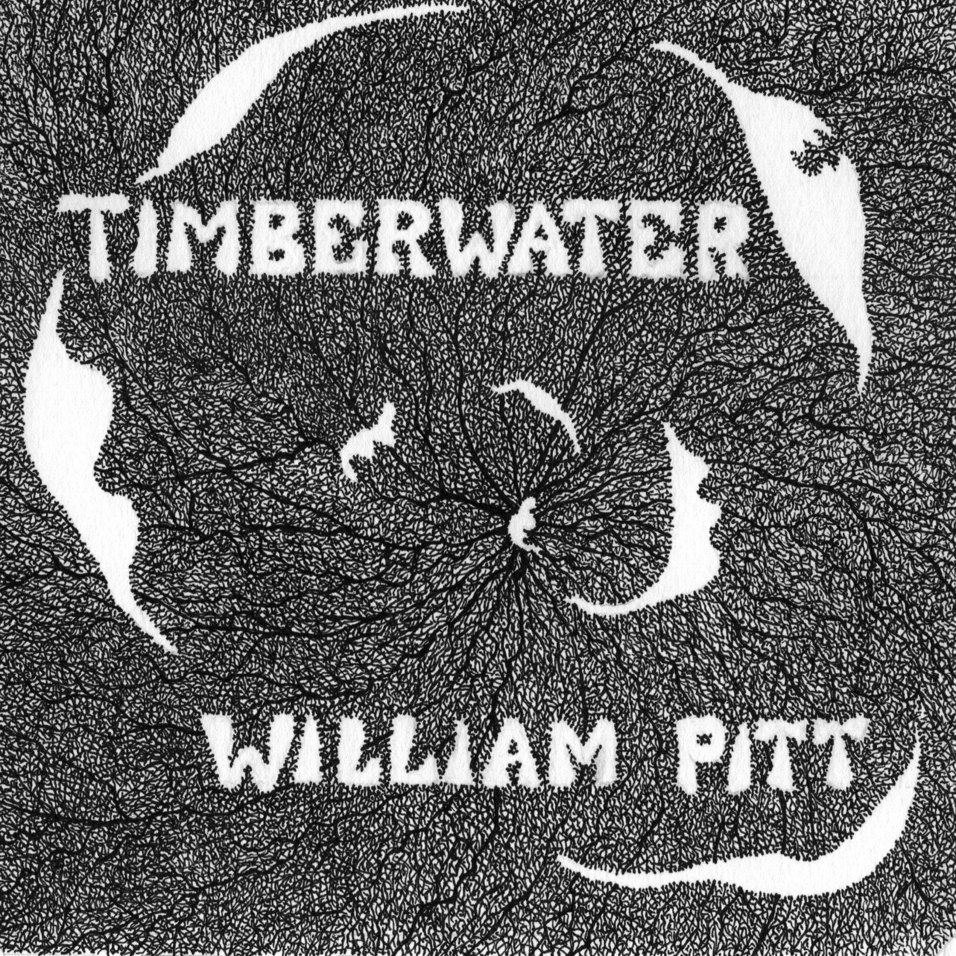Постер альбома Timberwater