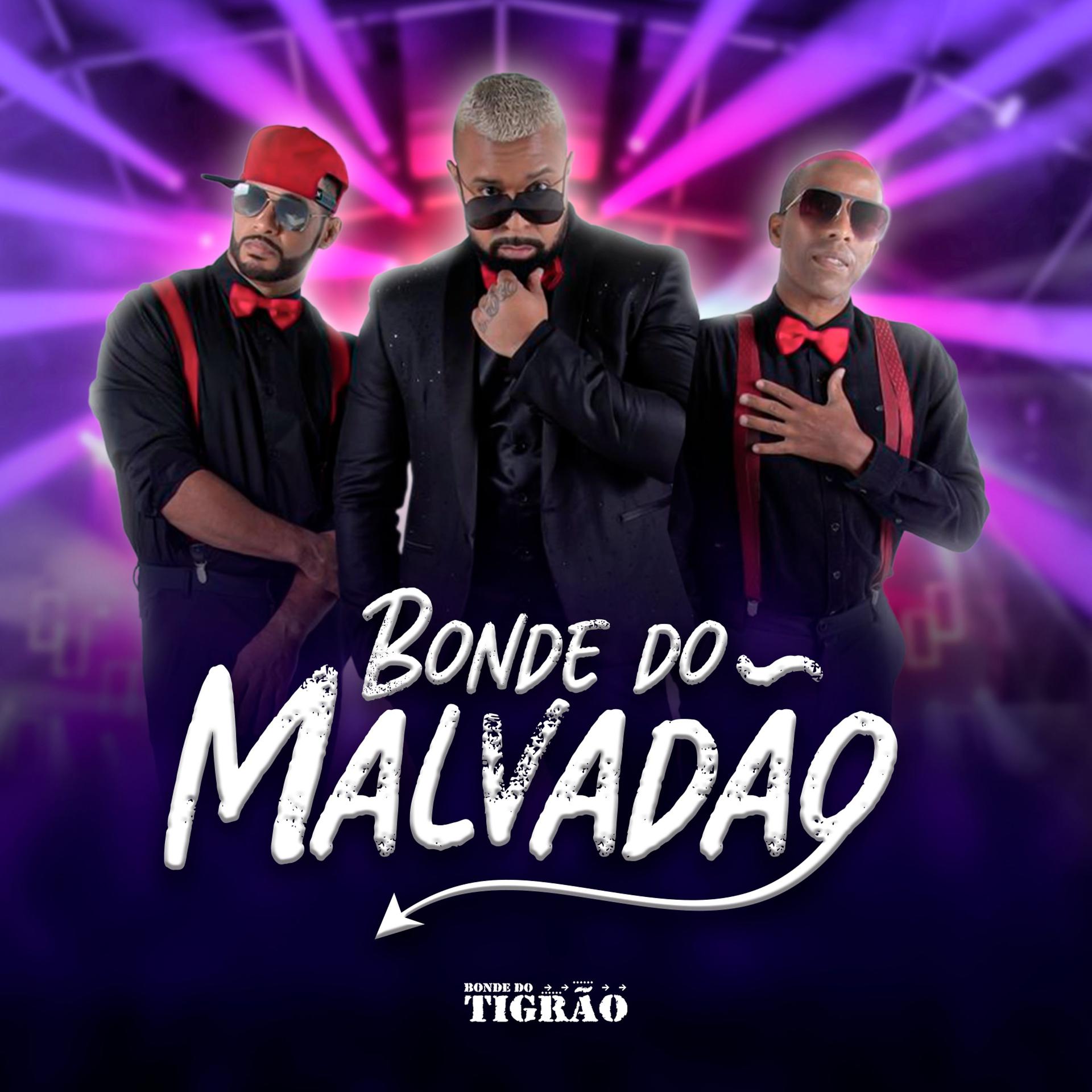 Постер альбома Bonde do Malvadão