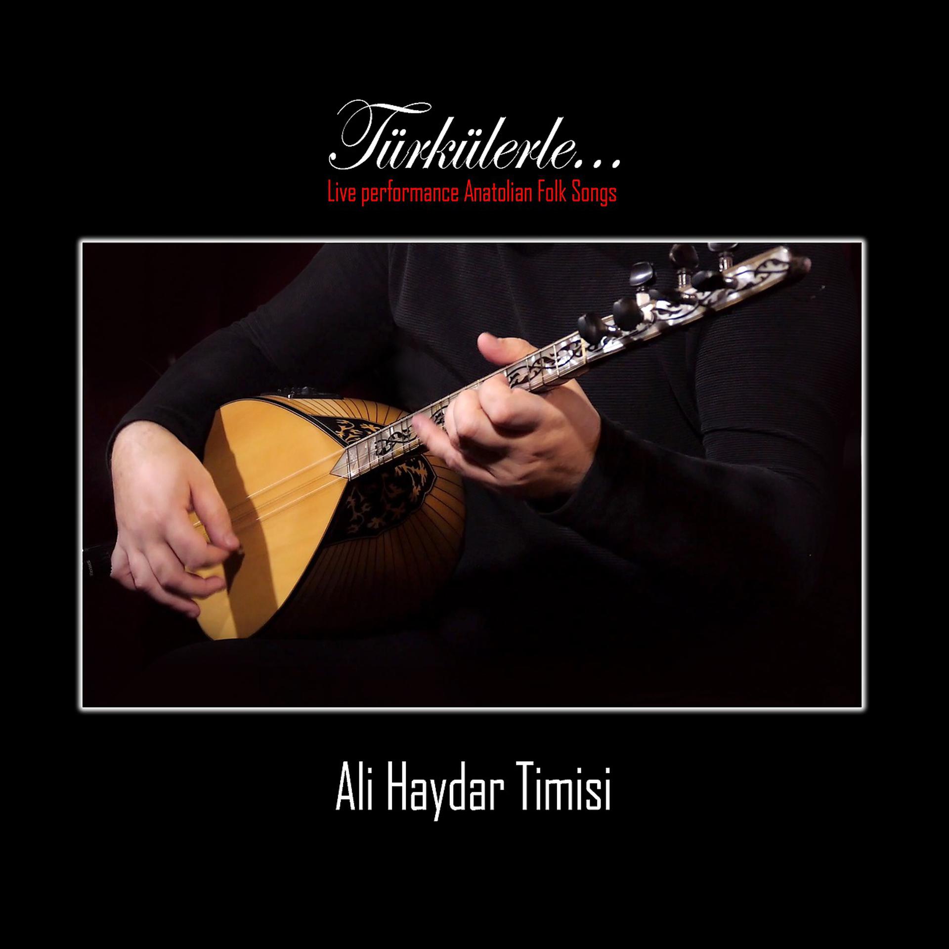 Постер альбома Türkülerle