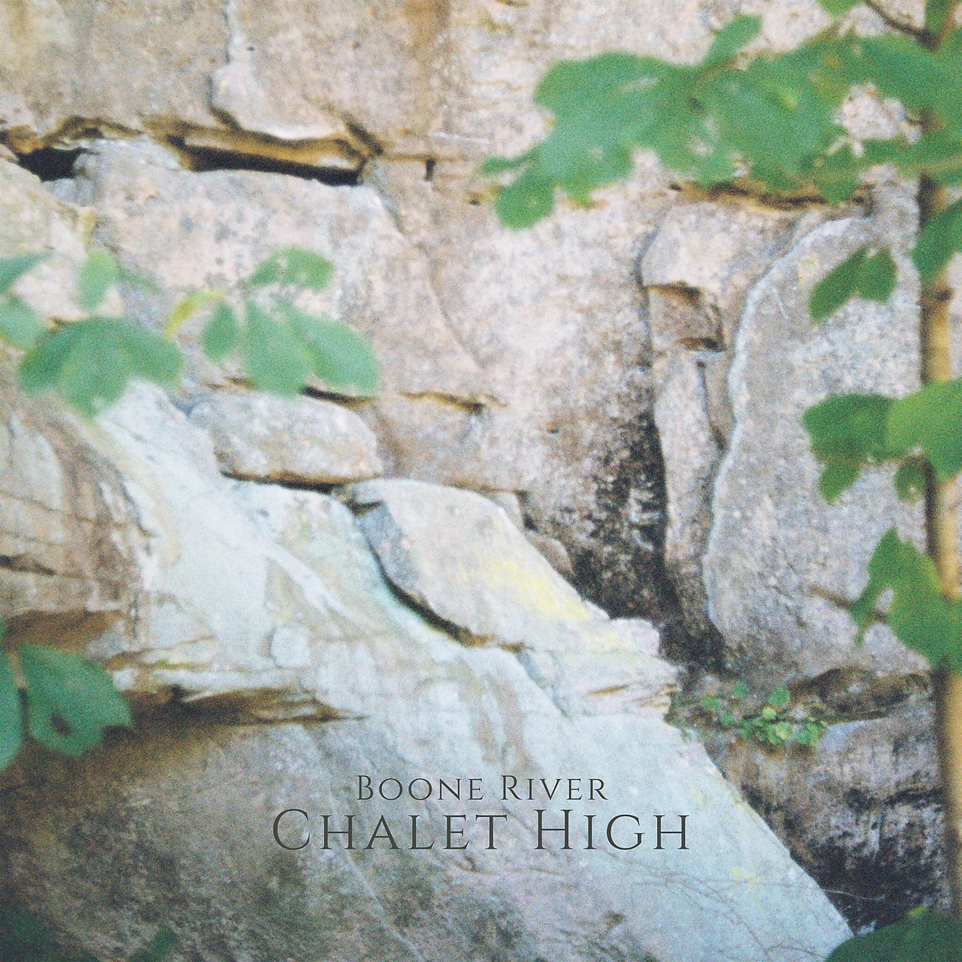 Постер альбома Chalet High
