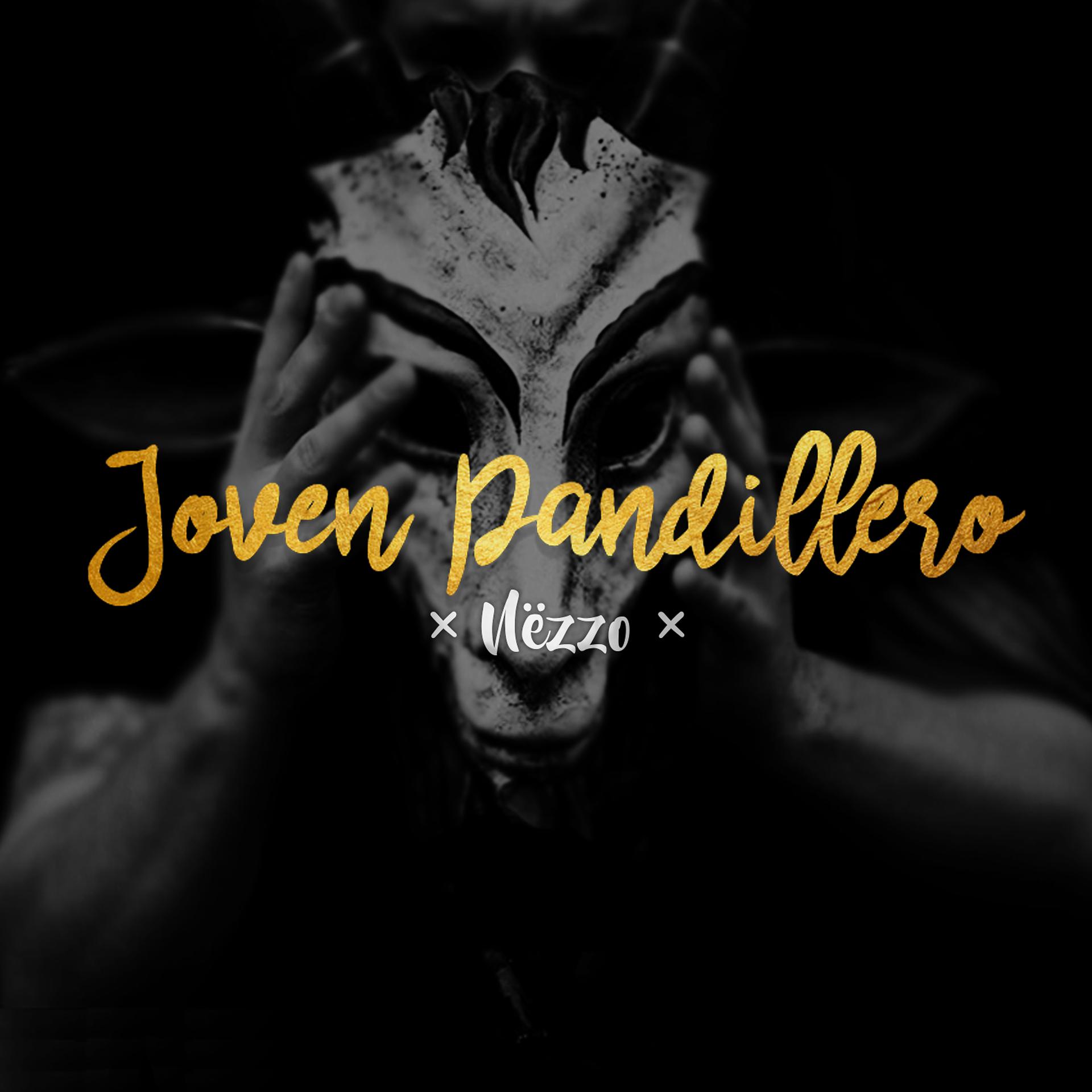 Постер альбома Joven Pandillero
