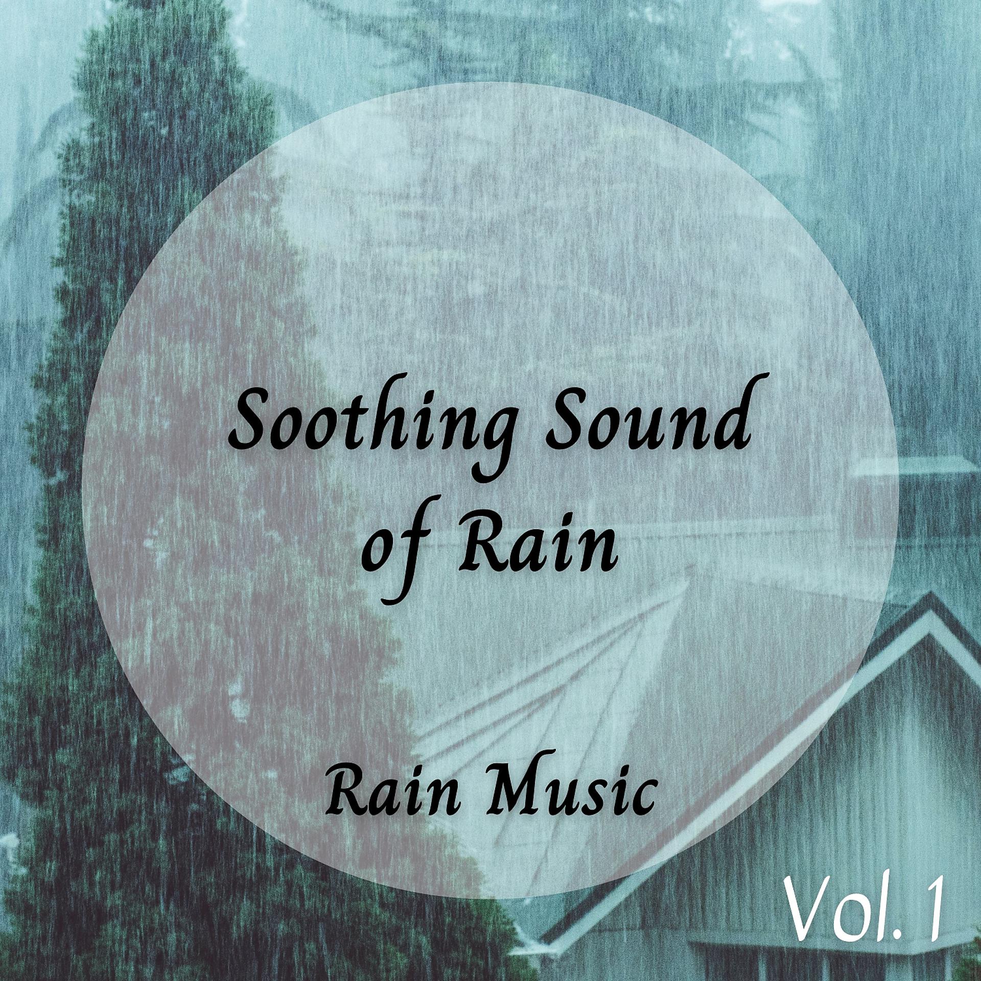Постер альбома Rain Music: Soothing Sound of Rain Vol. 1