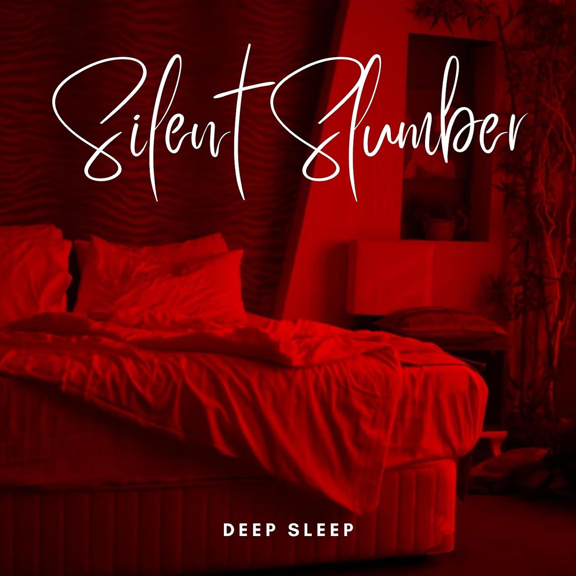 Постер альбома Deep Sleep: Silent Slumber