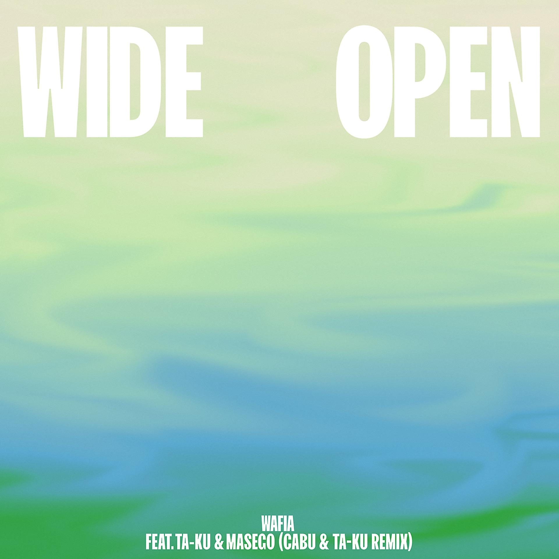Постер альбома Wide Open (feat. Ta-ku & Masego) [Cabu & Ta-ku Remix]