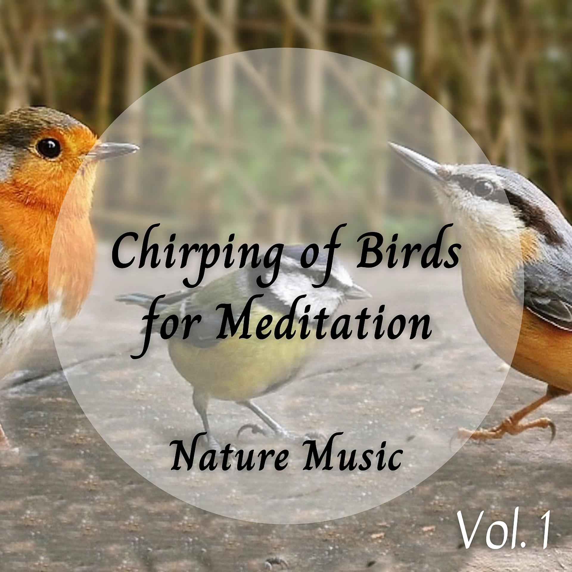 Постер альбома Nature Music: Chirping of Birds for Meditation Vol. 1