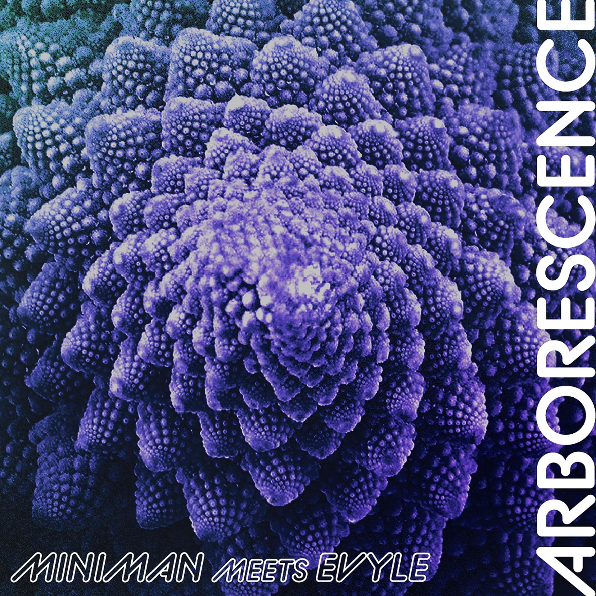 Постер альбома Arborescence