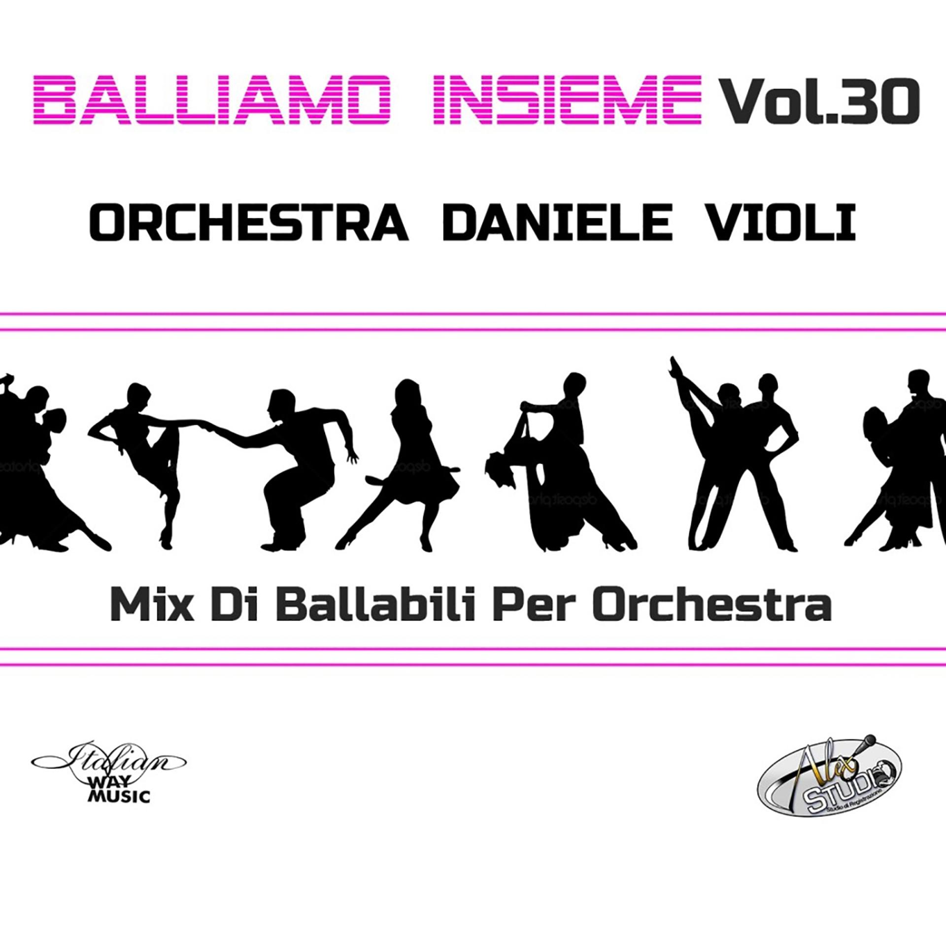 Постер альбома Balliamo insieme, Vol. 30