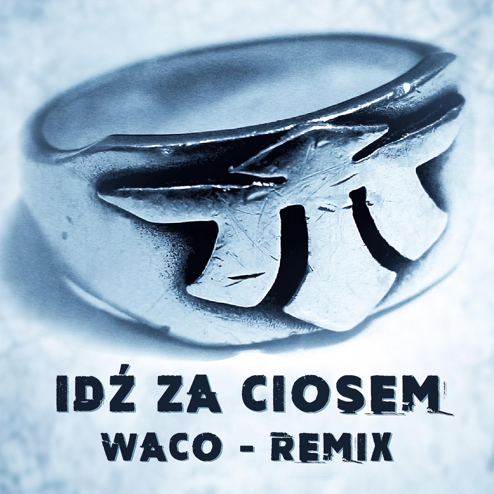 Постер альбома Idź za ciosem (Waco Remix)