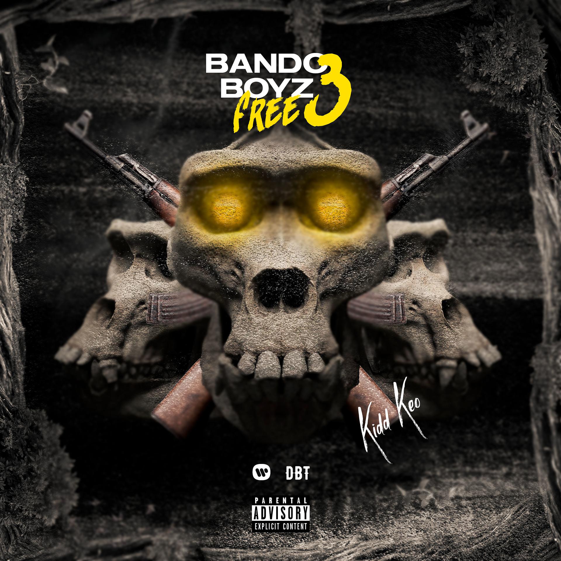Постер альбома Bando Boyz Free 3