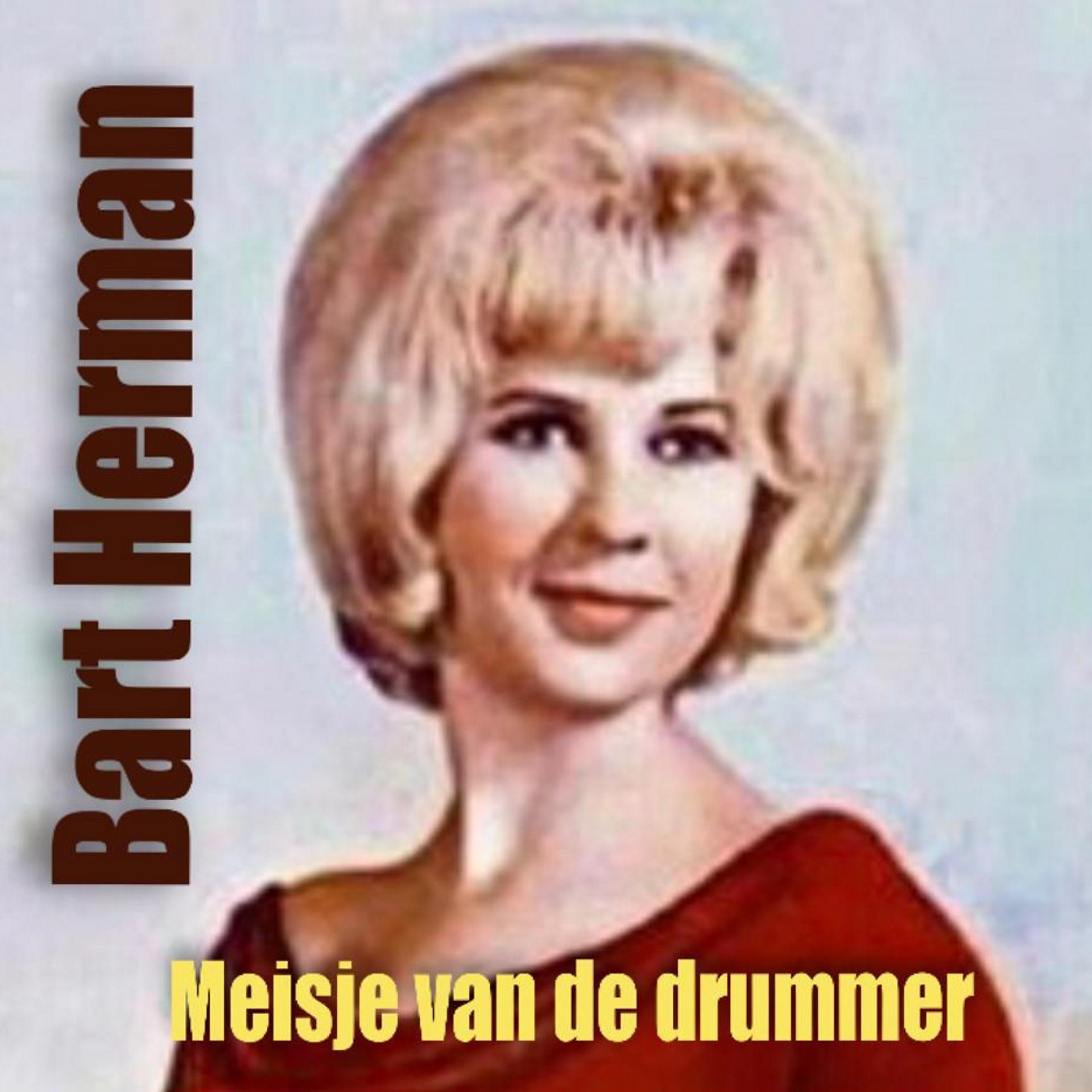 Постер альбома Meisje van de drummer
