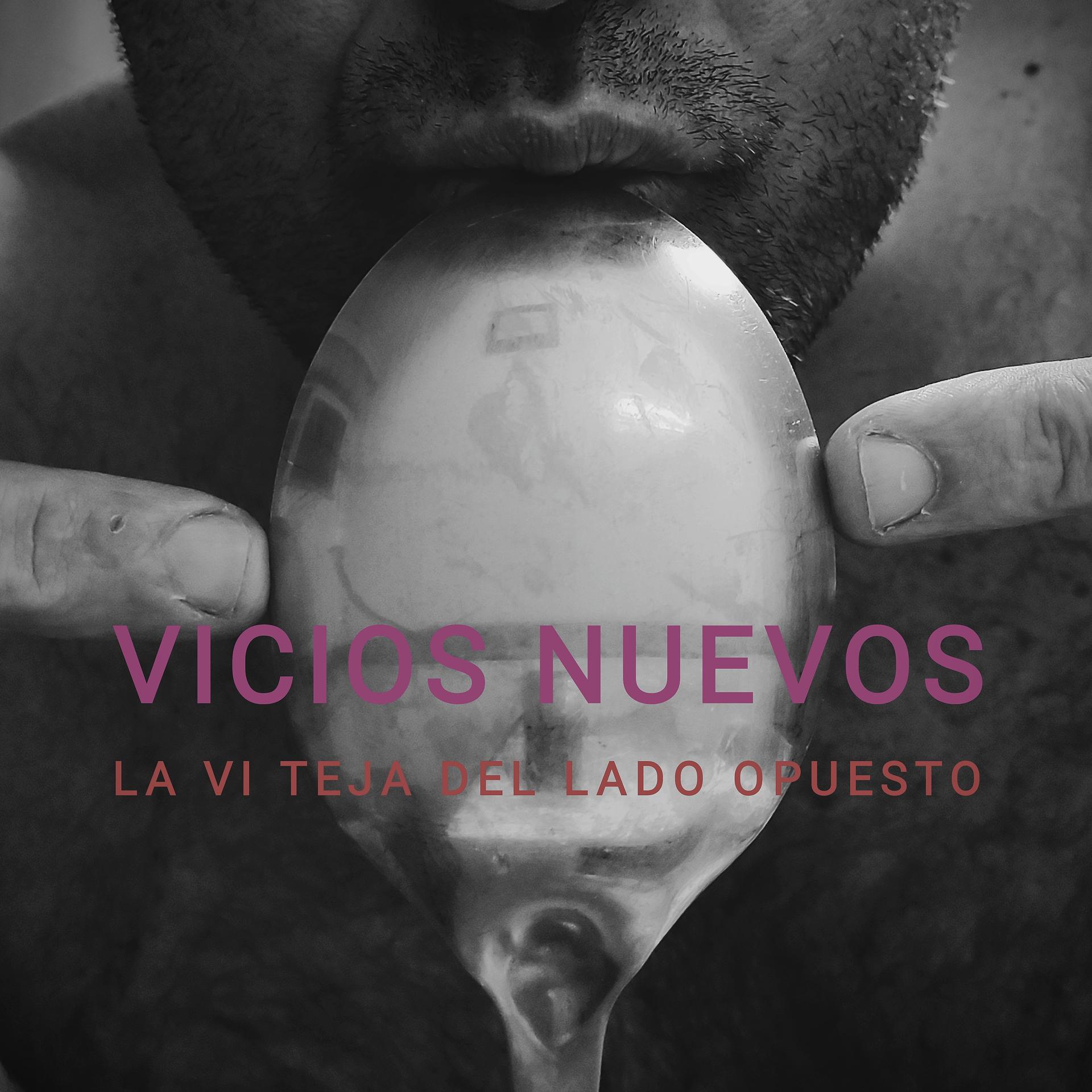 Постер альбома Vicios Nuevos