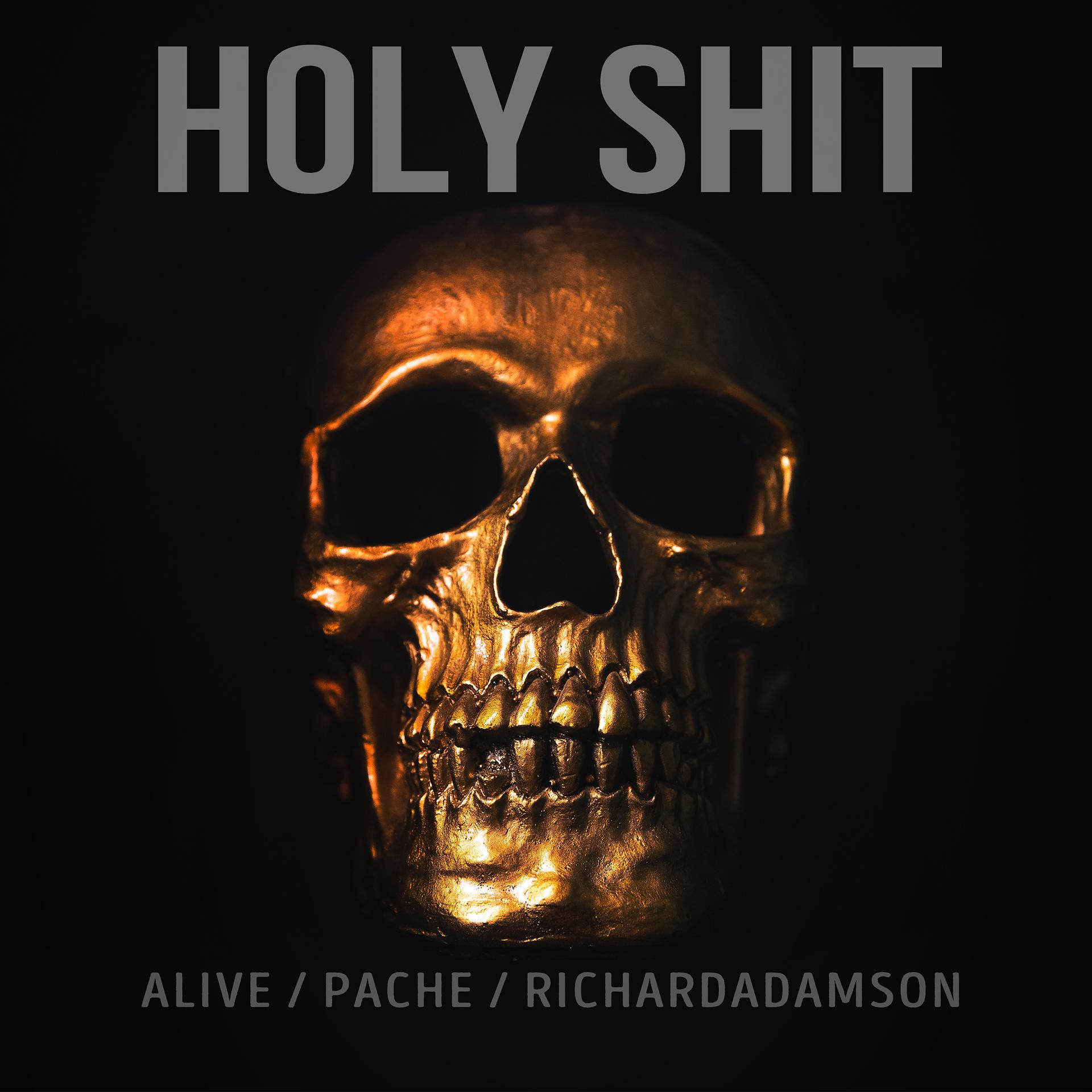 Постер альбома HOLY SHIT