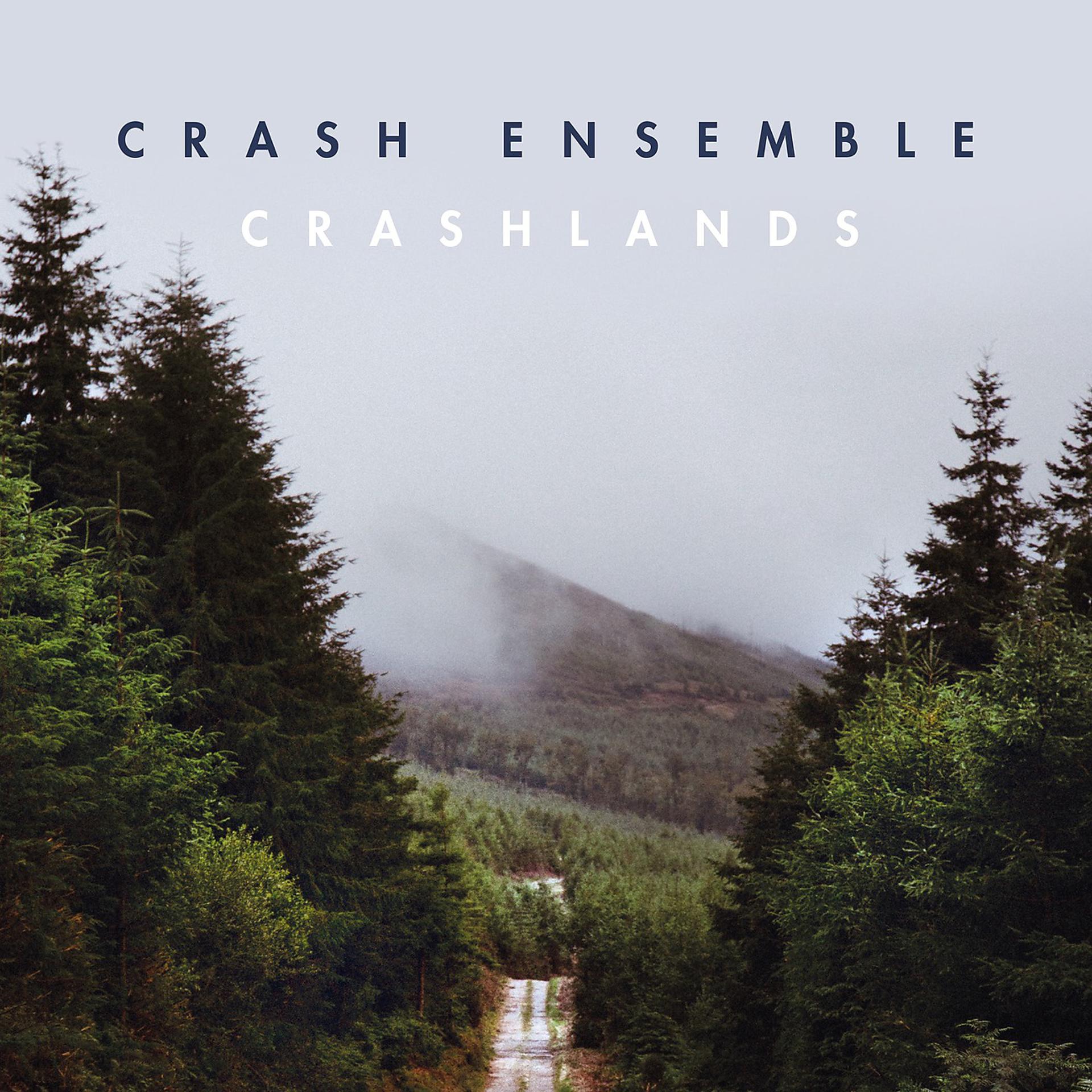 Постер альбома Crashlands