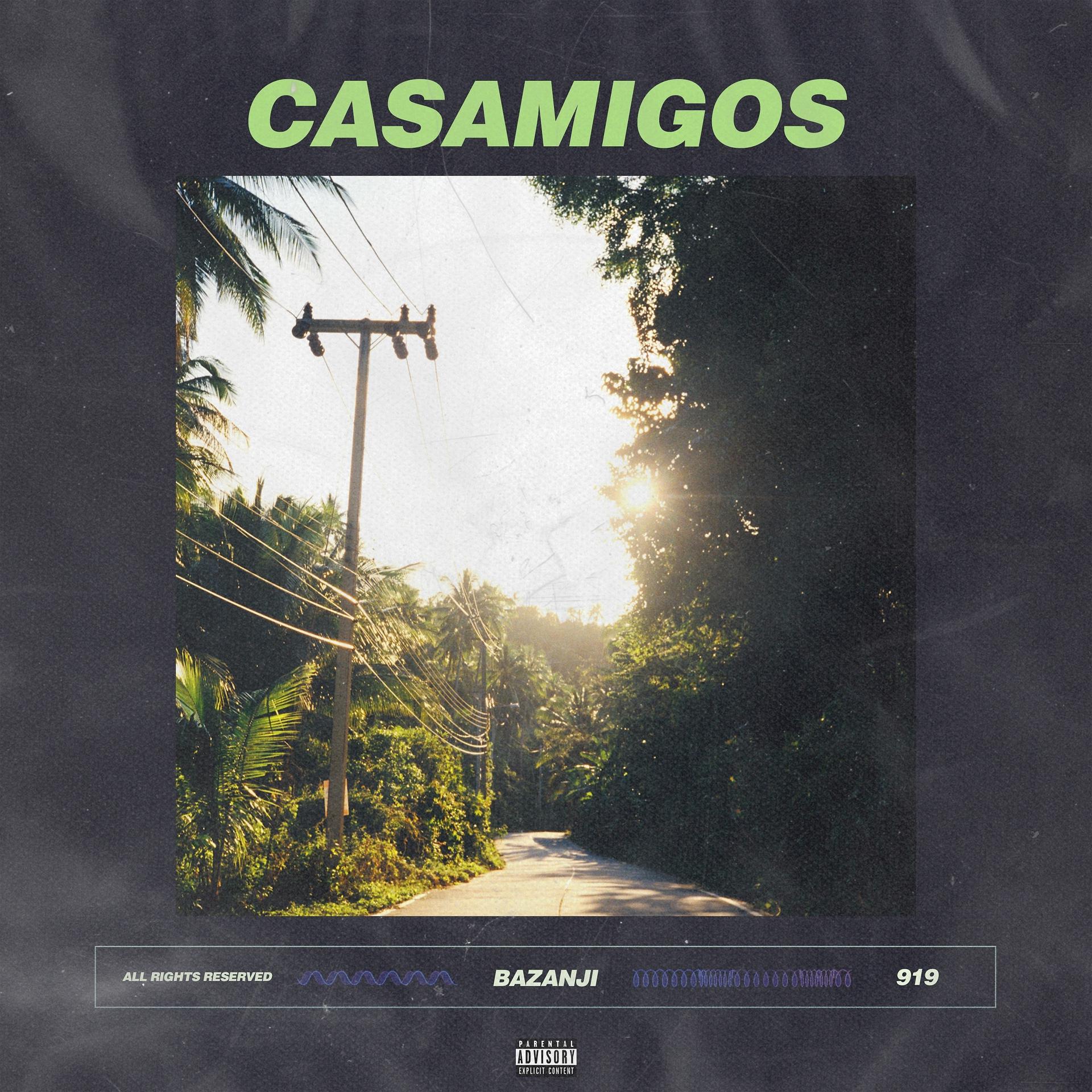 Постер альбома Casamigos