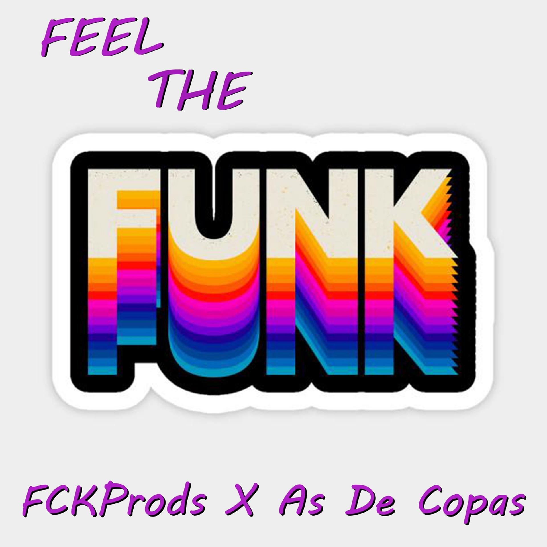 Постер альбома Feel The Funk