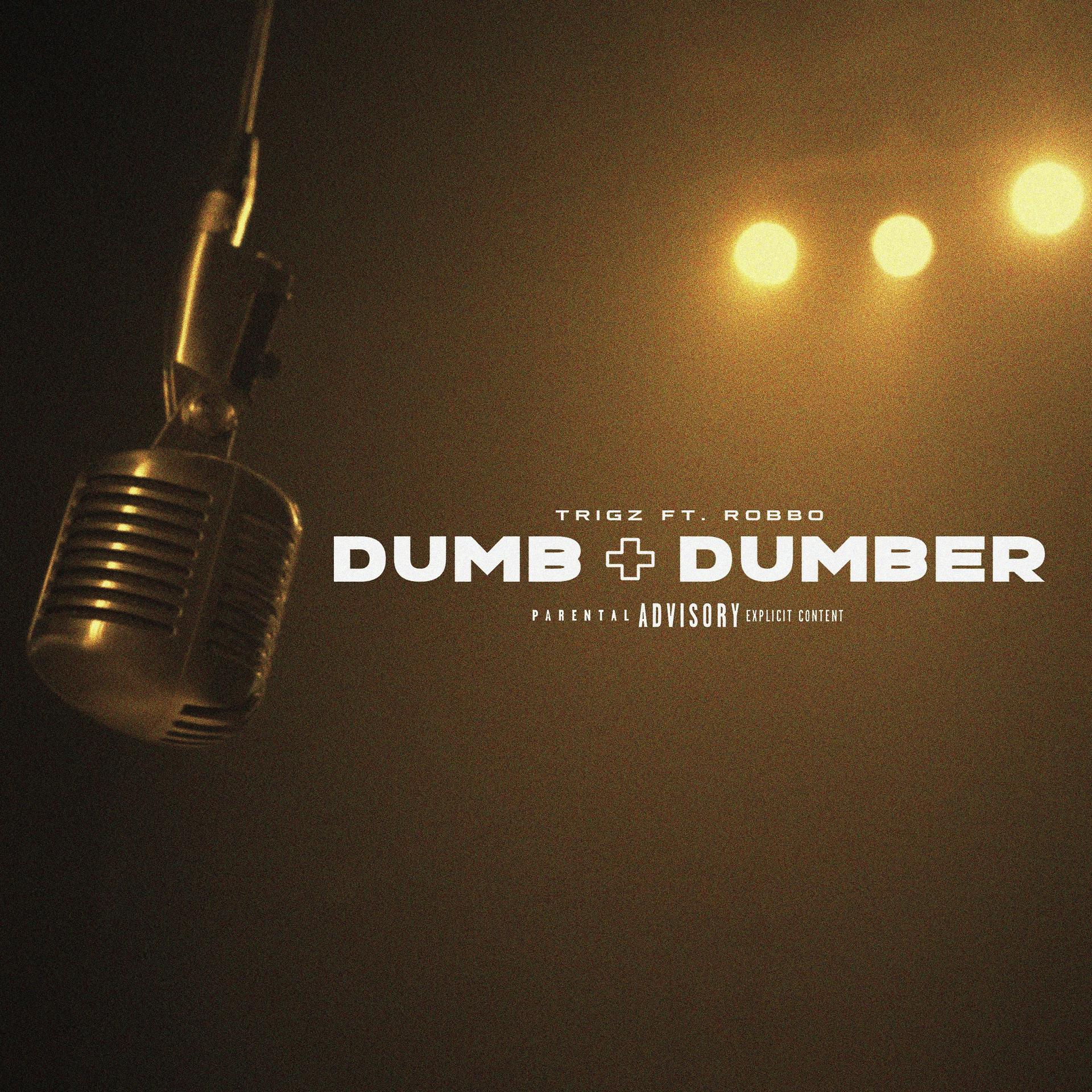Постер альбома Dumb + Dumber