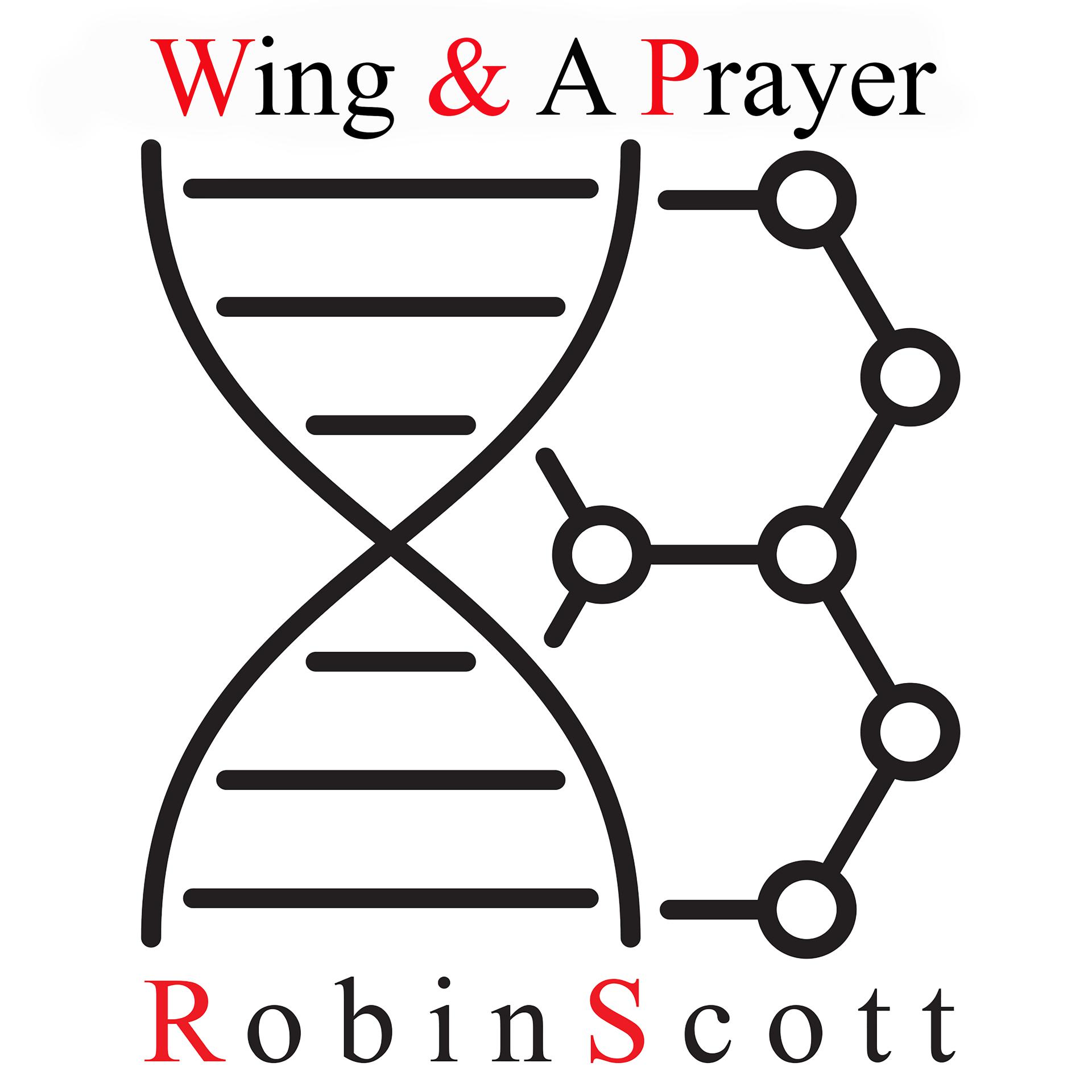 Постер альбома Wing & A Prayer