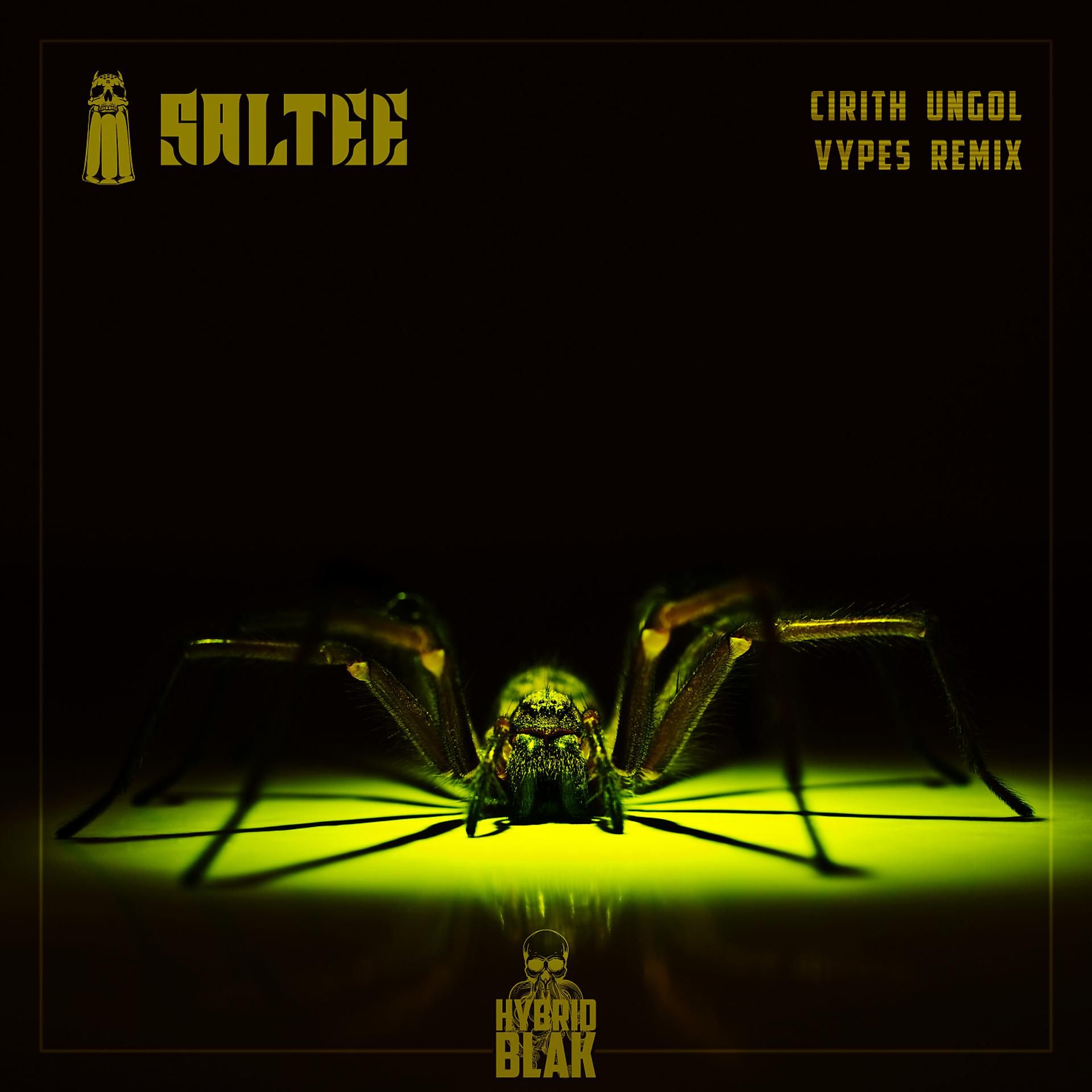 Постер альбома Cirith Ungol (Vypes Remix)