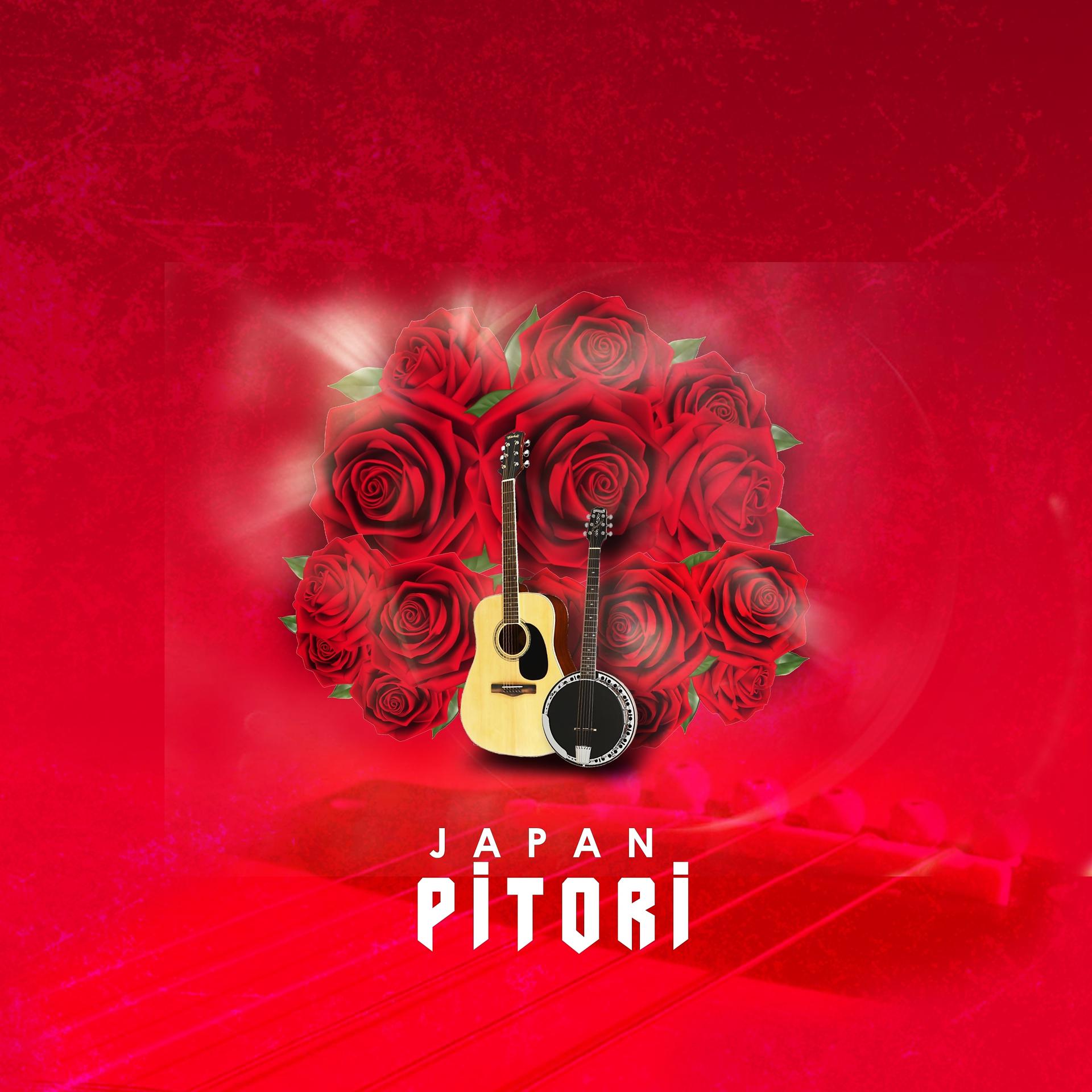 Постер альбома Pitori