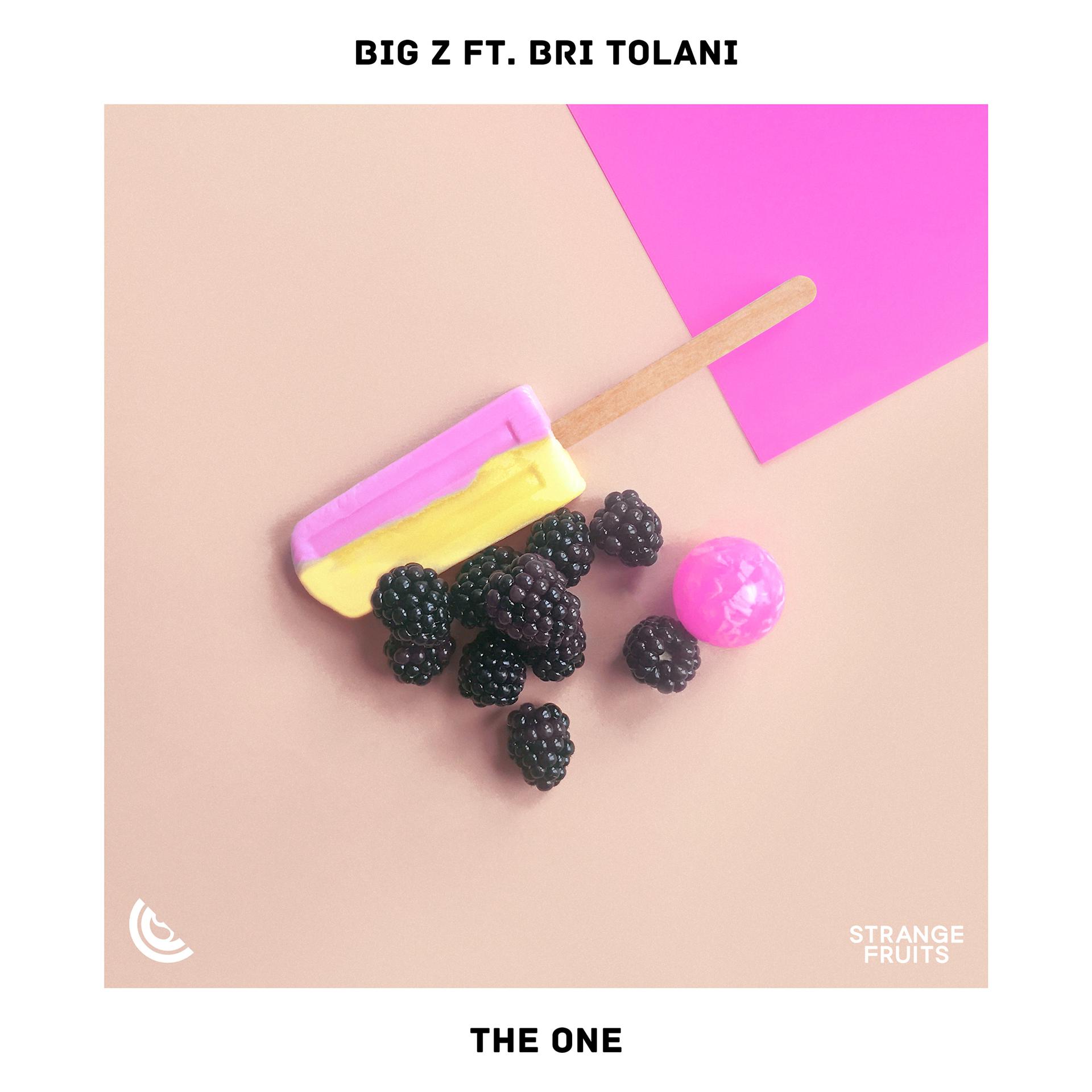 Постер альбома The One (feat. Bri Tolani)