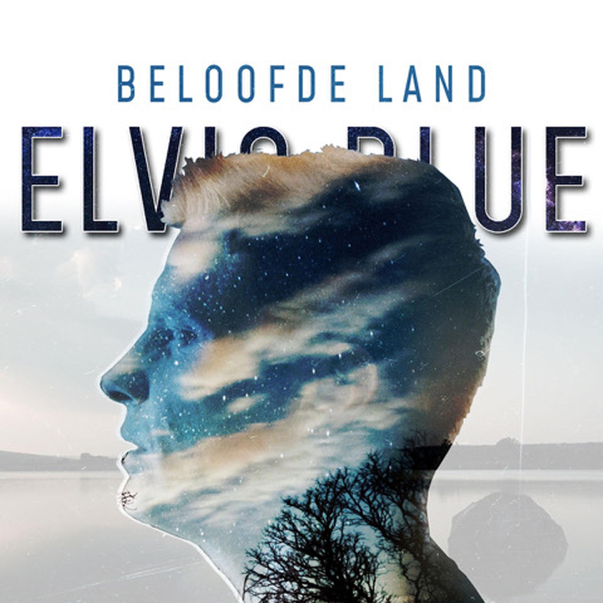 Постер альбома Beloofde Land