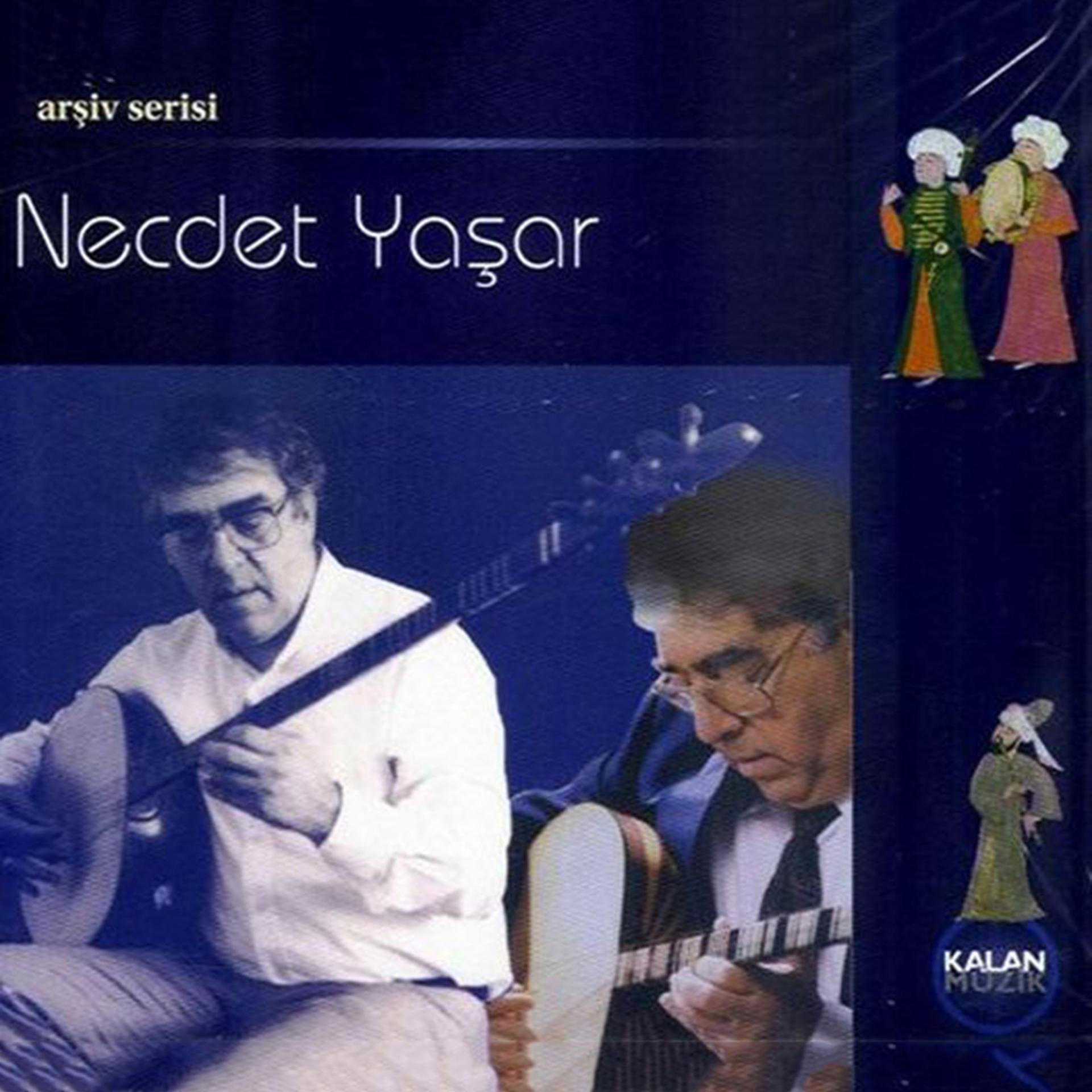 Постер альбома Necdet Yasar - Arşiv