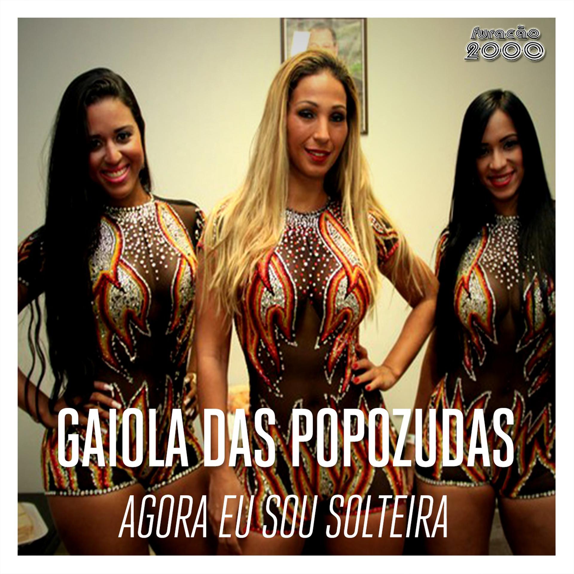 Постер альбома Agora Eu Sou Solteira