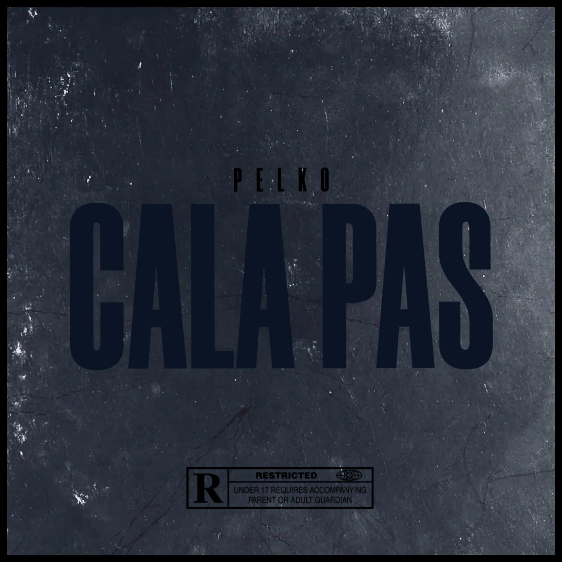 Постер альбома Cala Pas