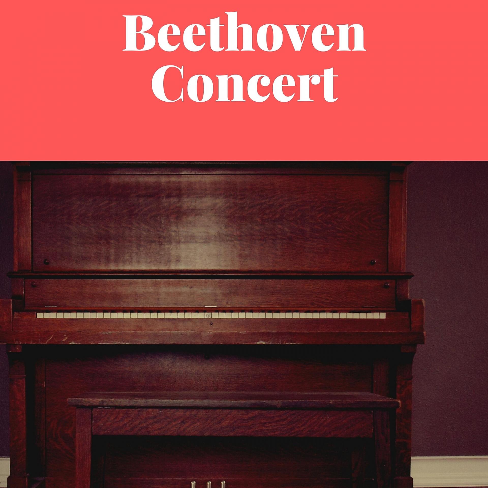 Постер альбома Beethoven Concert