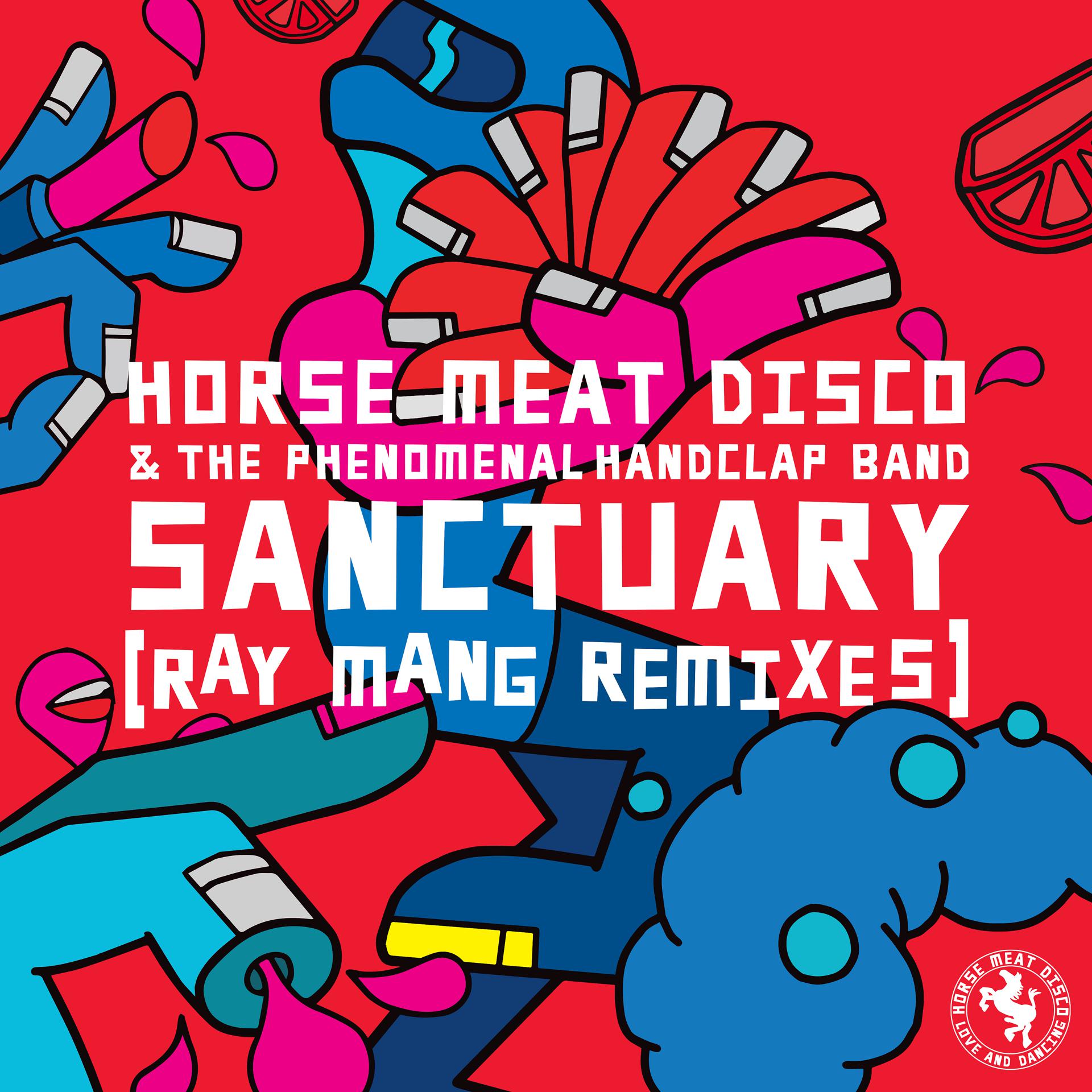 Постер альбома Sanctuary (Ray Mang Remixes)