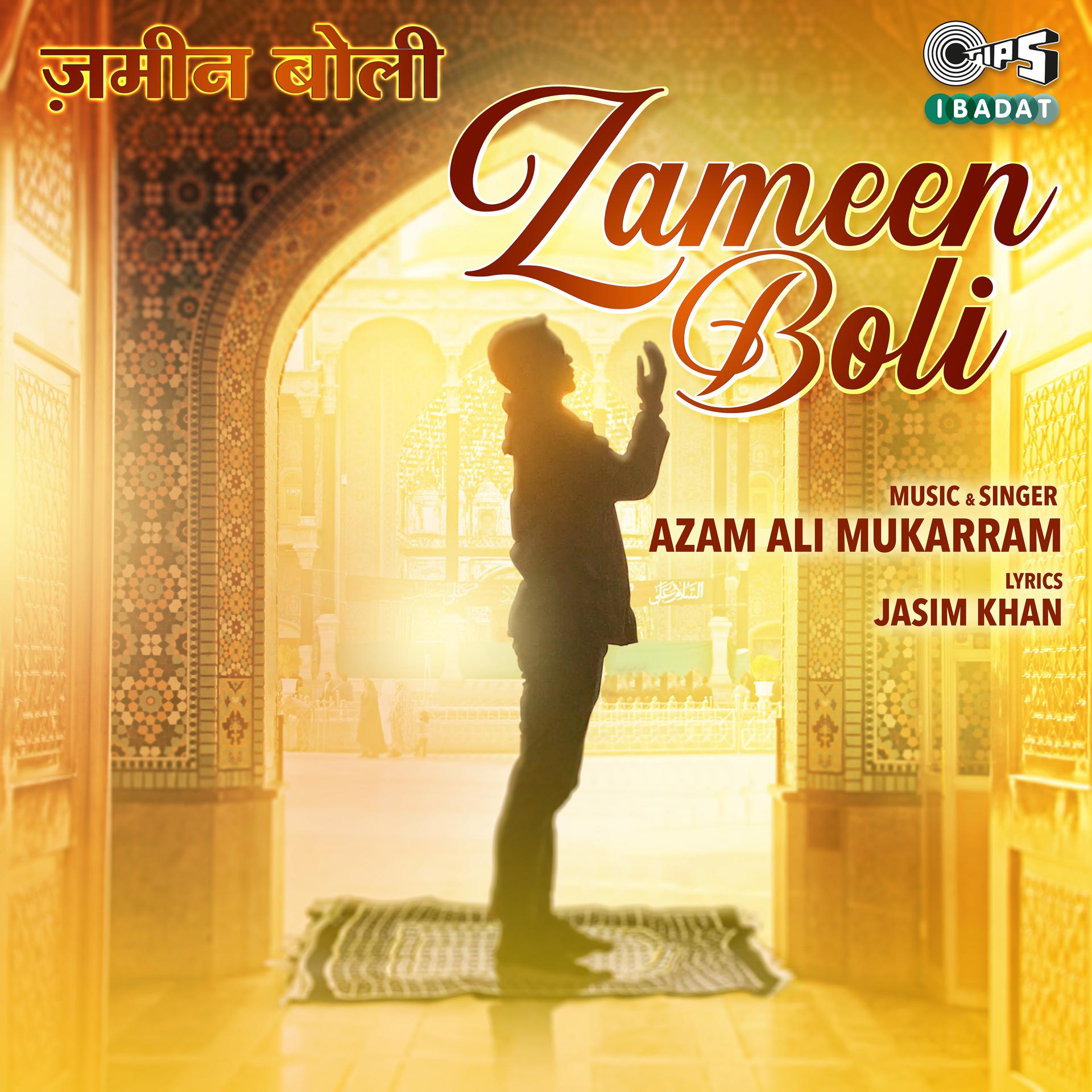 Постер альбома Zameen Boli