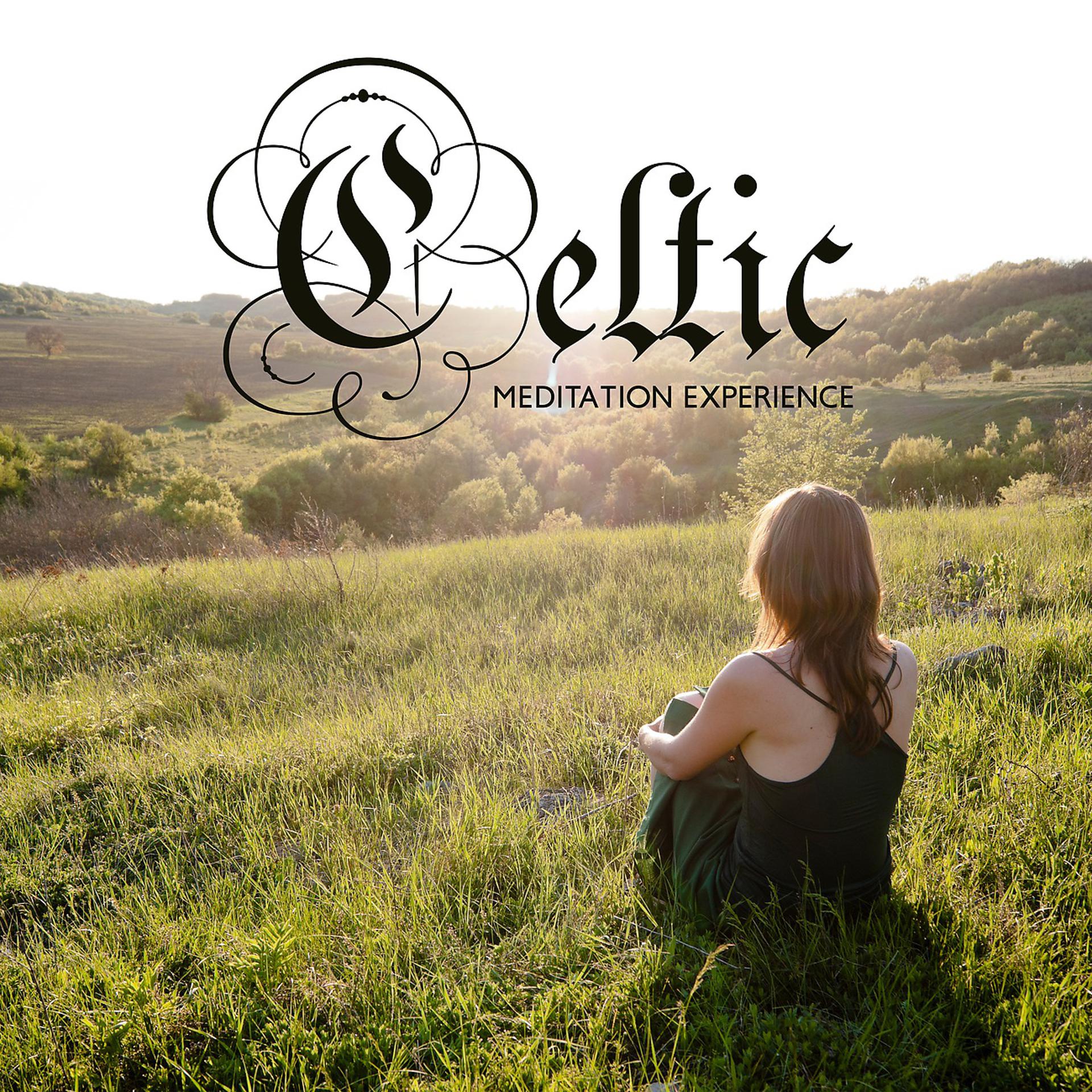 Постер альбома Celtic Meditation Experience